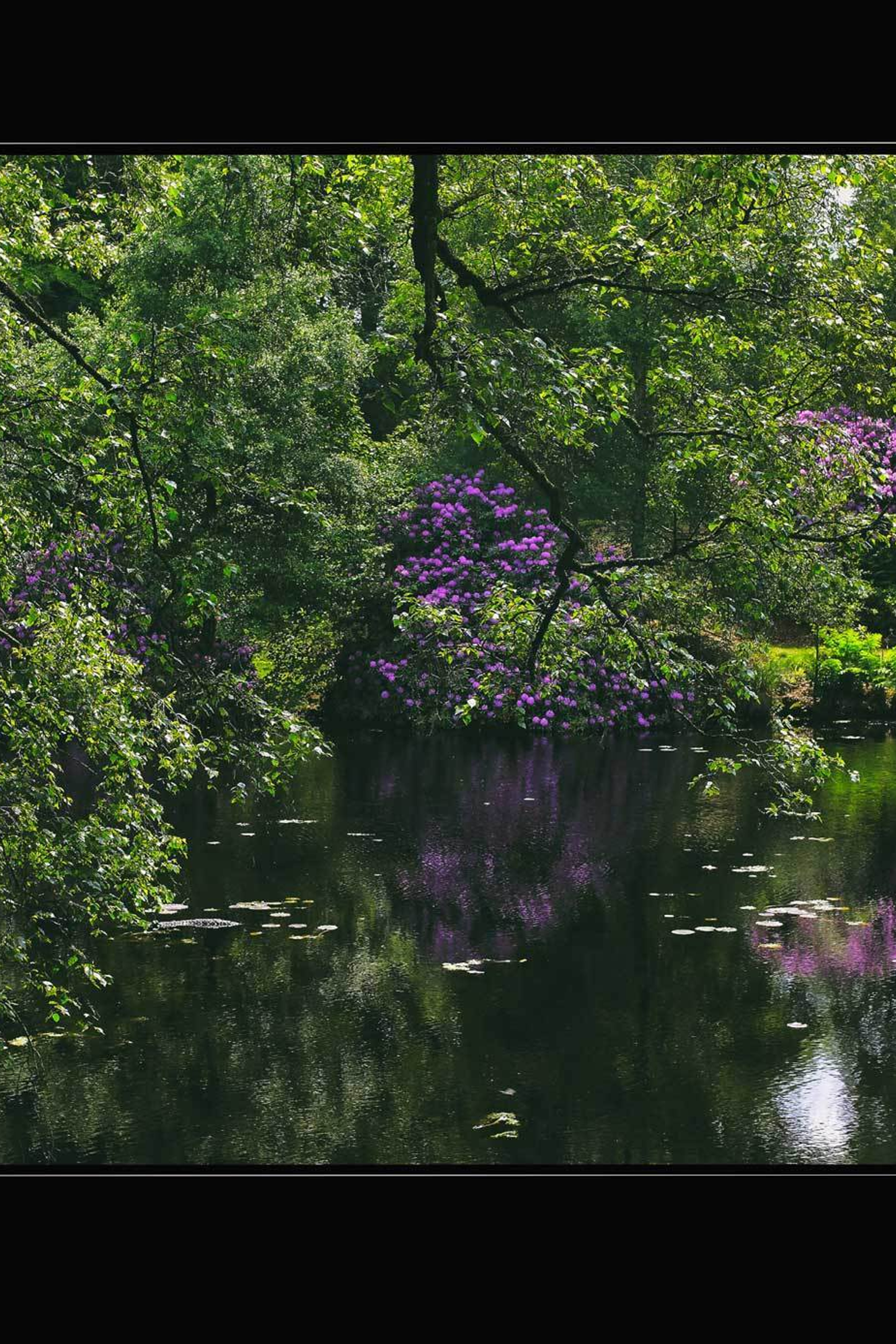 Свадьба для двоих во Франции, регион Бретань. Дмитрий Лившиц - фотограф. Москва