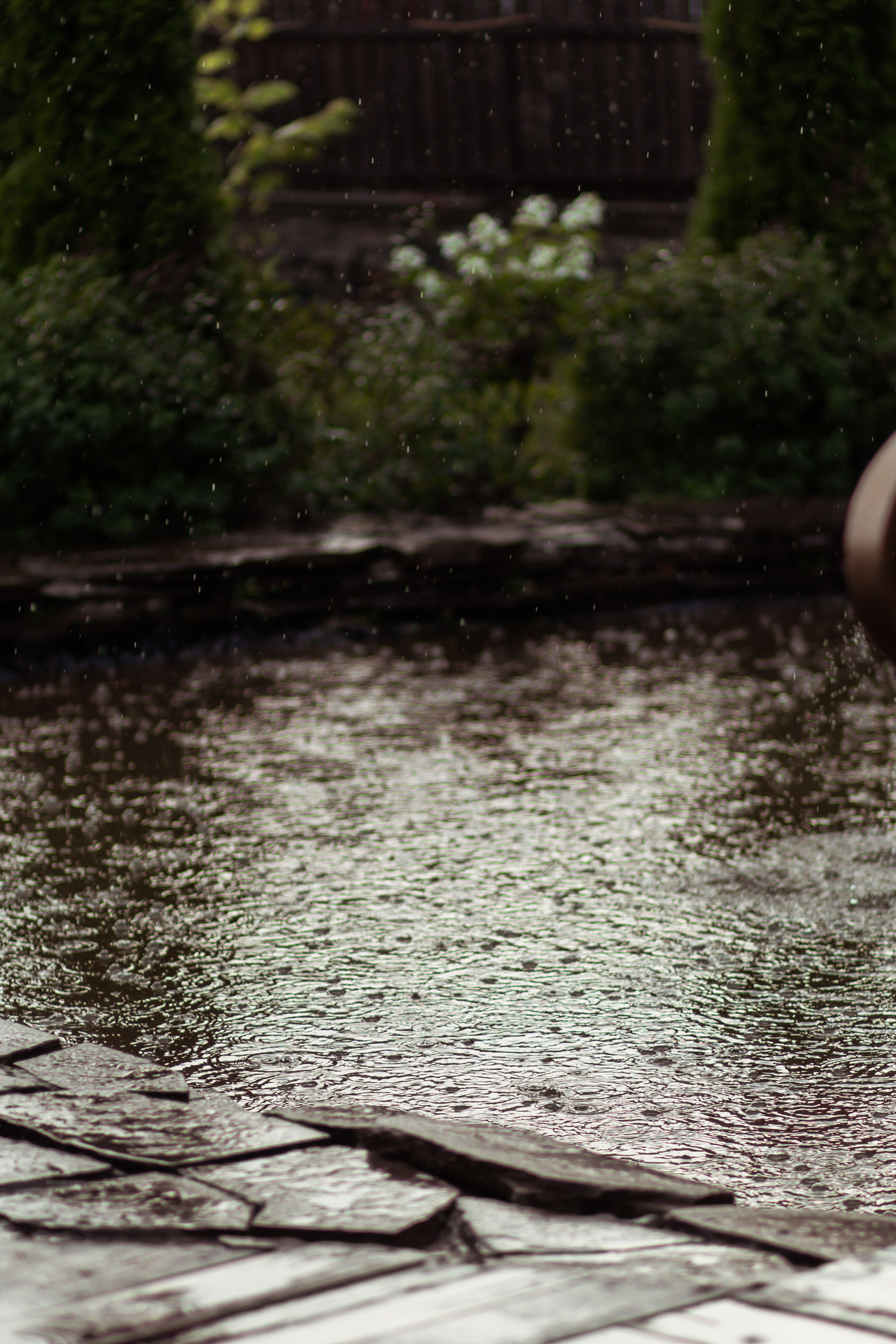 Яна & Саша. Свадебный фотограф в Туле и Москве Елена Рубцова