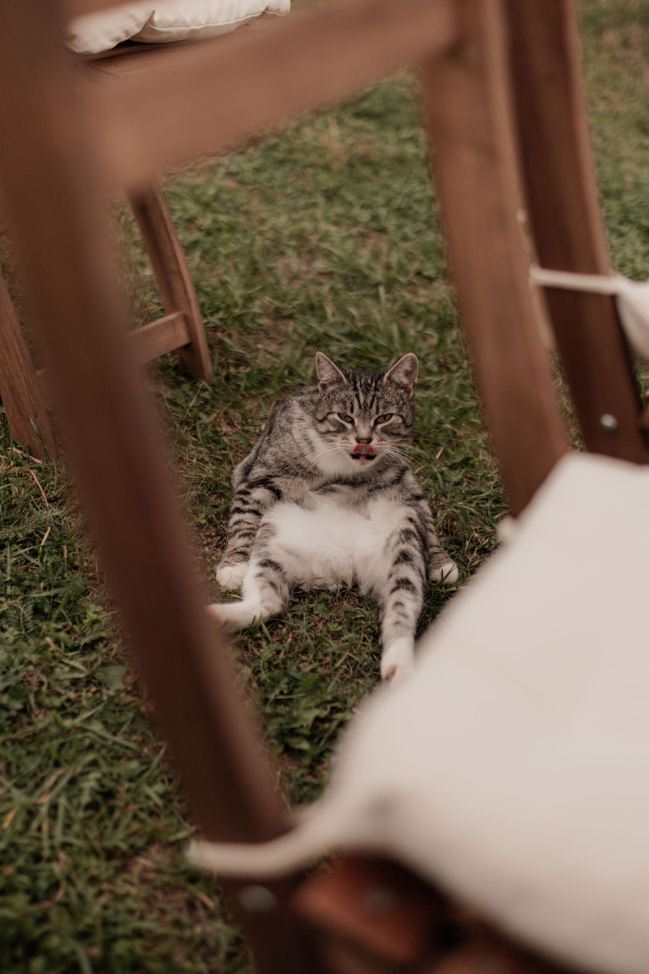 Оля & Стас. Свадебный фотограф в Туле и Москве Елена Рубцова