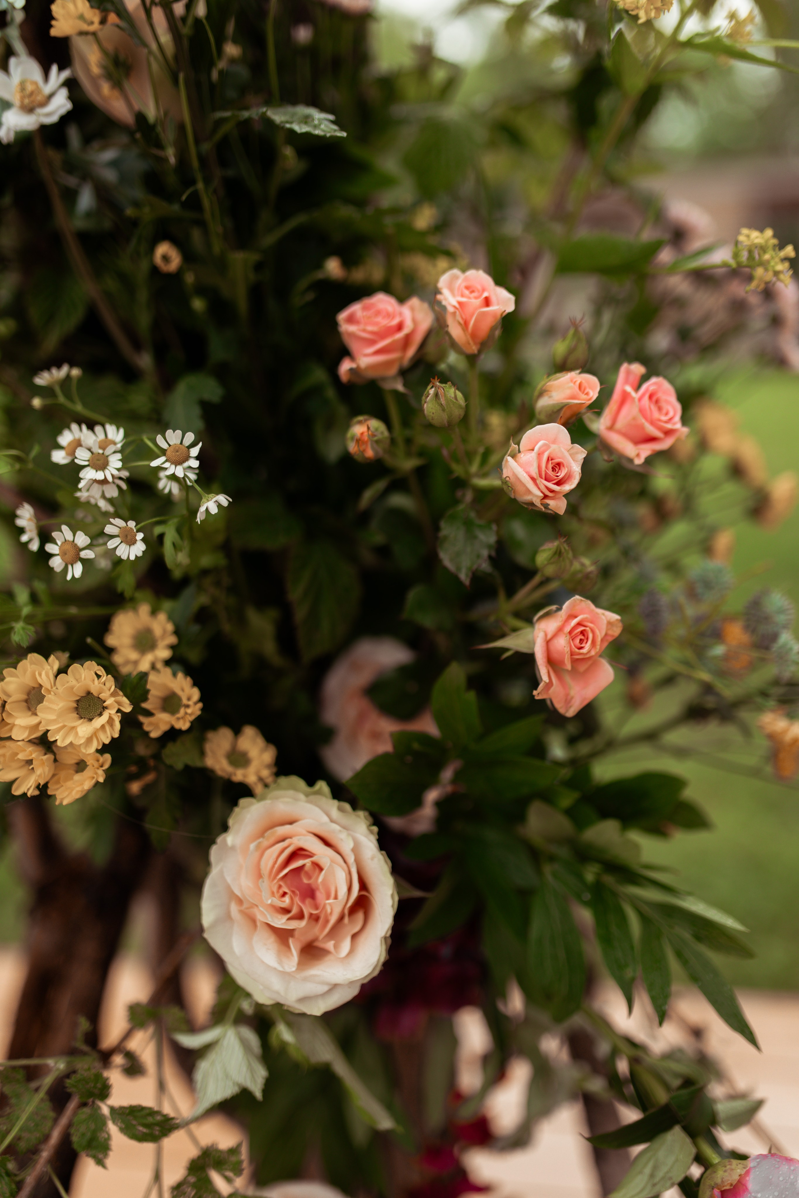 Олеся & Максим. Свадебный фотограф в Туле и Москве Елена Рубцова