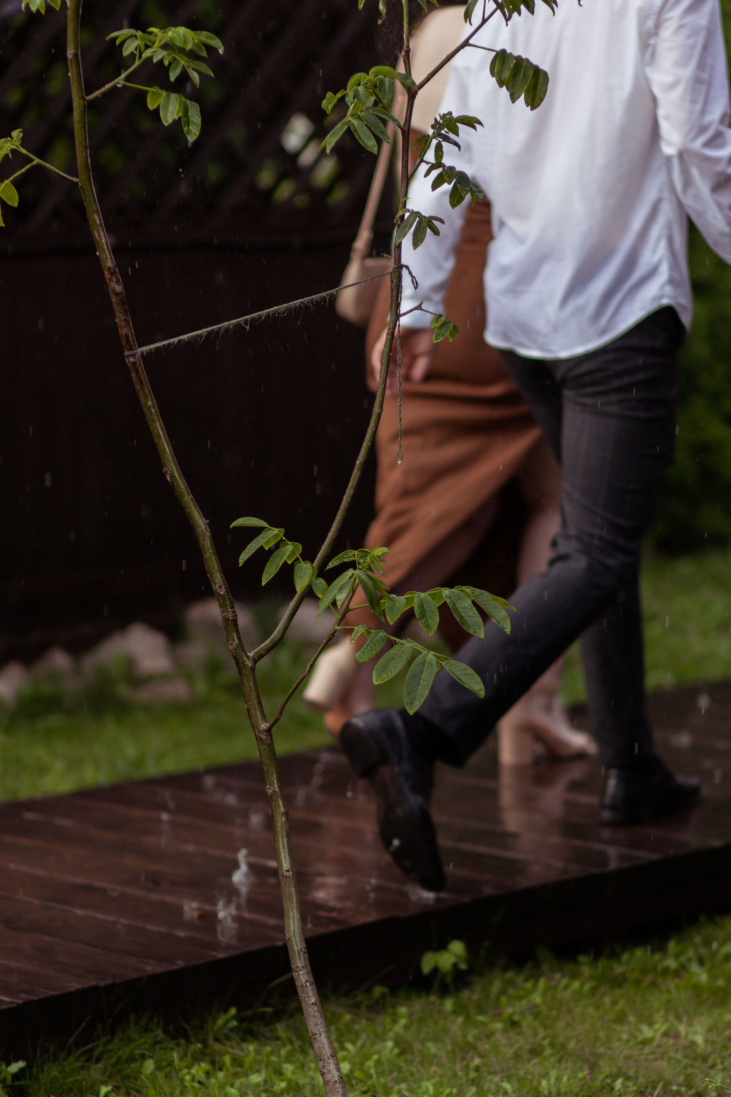 Яна & Саша. Свадебный фотограф в Туле и Москве Елена Рубцова