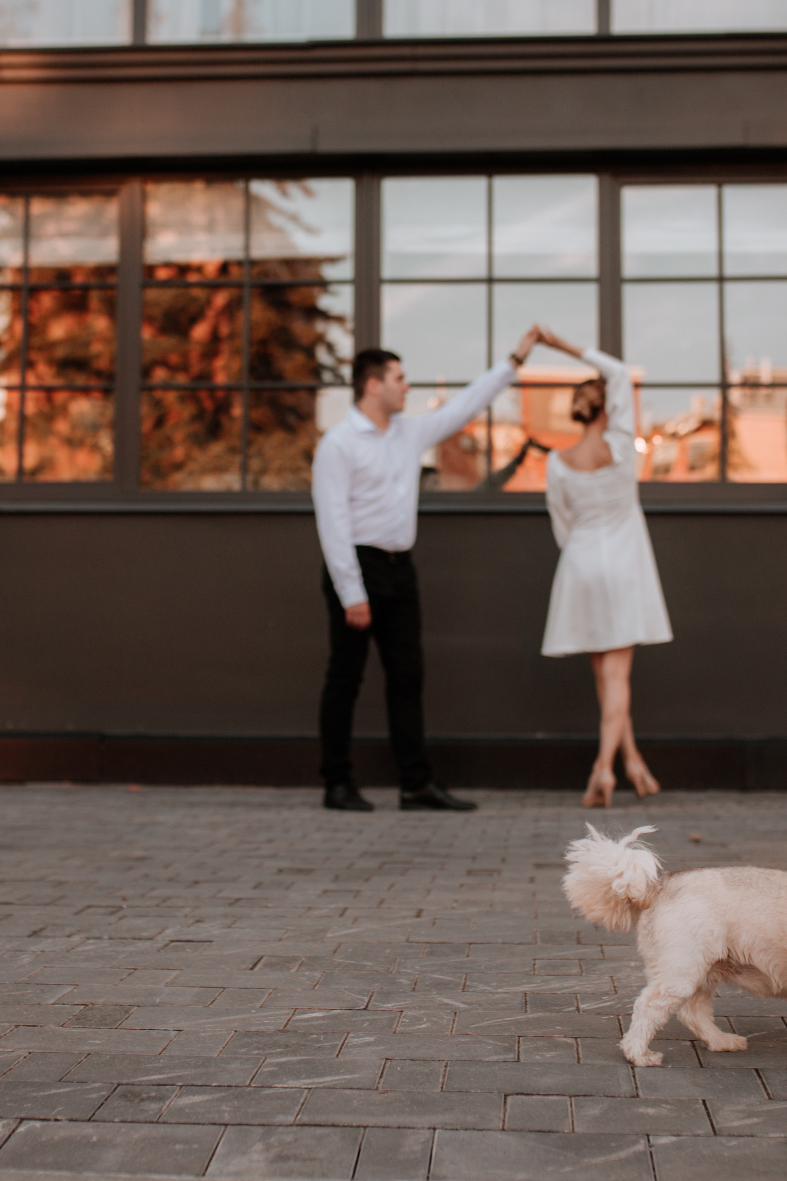 Дарья и Андрей. Свадебный фотограф в Туле и Москве Елена Рубцова