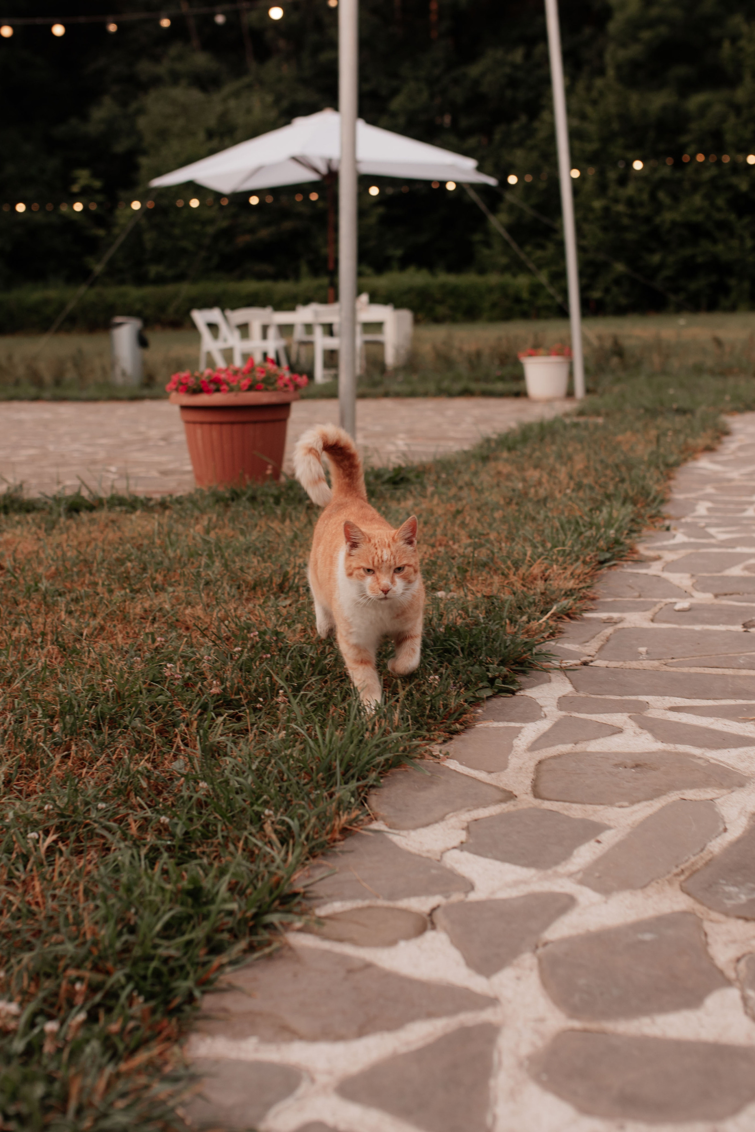 Саша & Кирилл. Свадебный фотограф в Туле и Москве Елена Рубцова