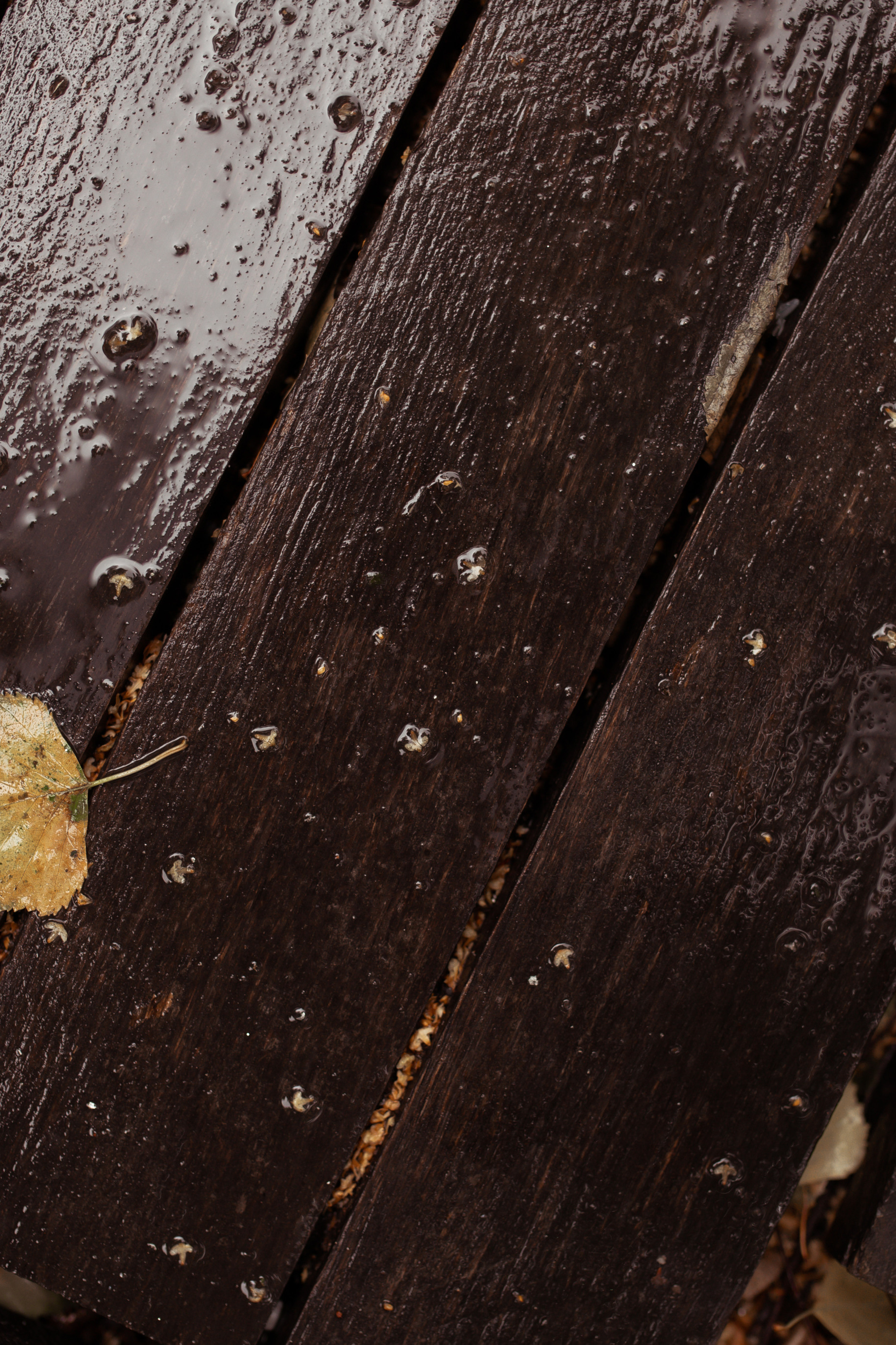 Саша & Боря. Свадебный фотограф в Туле и Москве Елена Рубцова