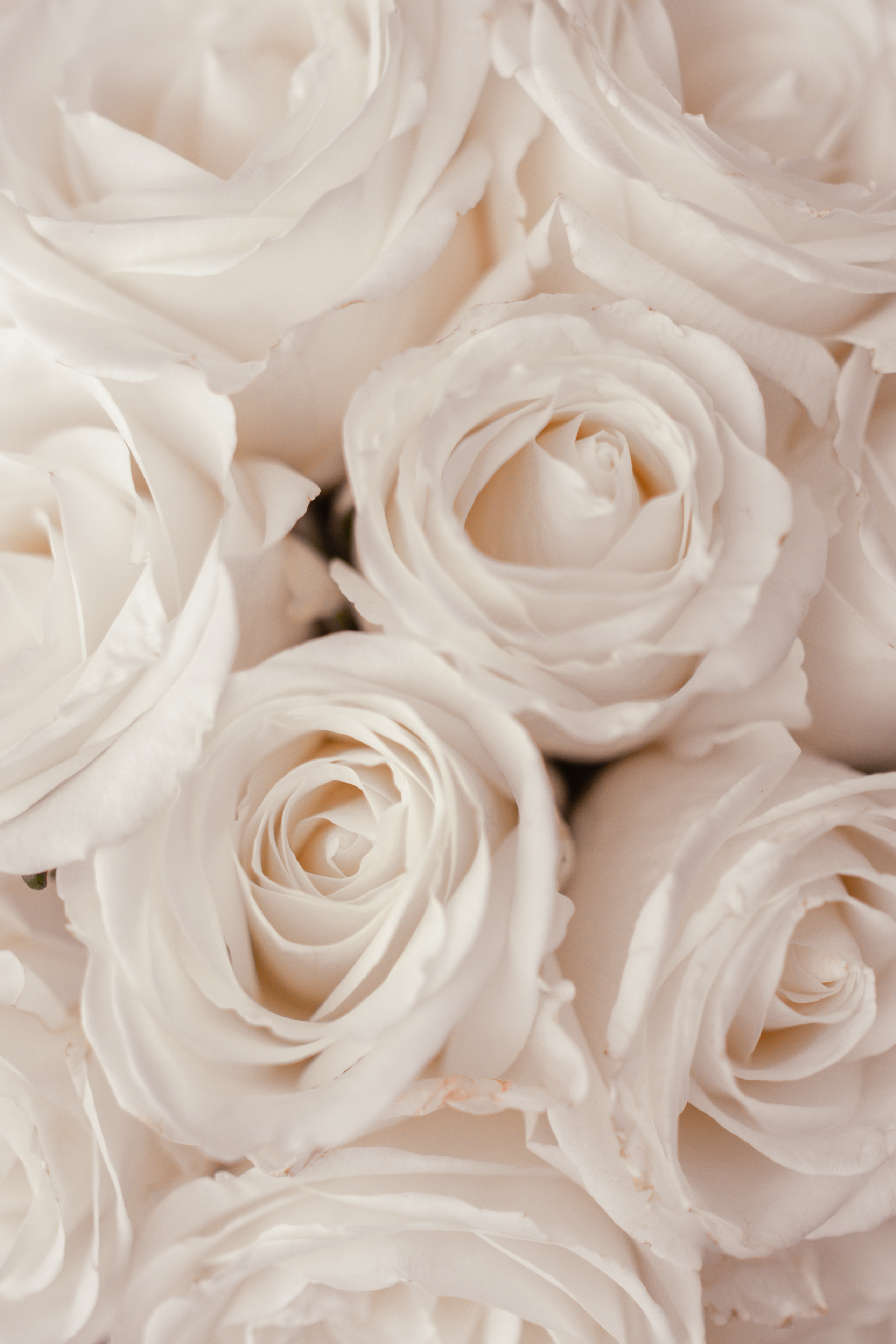 Расита и Роман. Свадебный фотограф в Туле и Москве Елена Рубцова