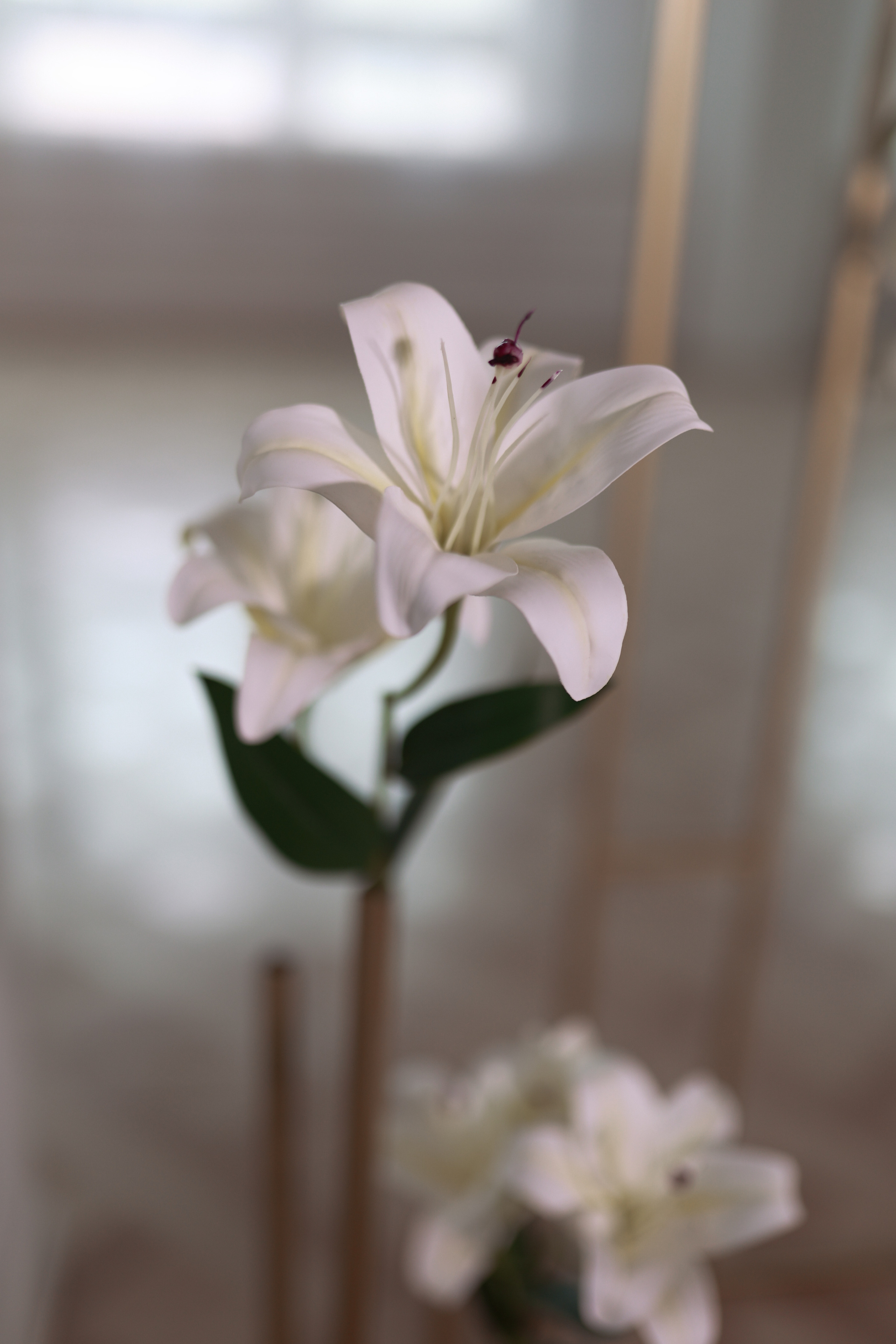 Юлия & Георгий. Свадебный фотограф в Туле и Москве Елена Рубцова