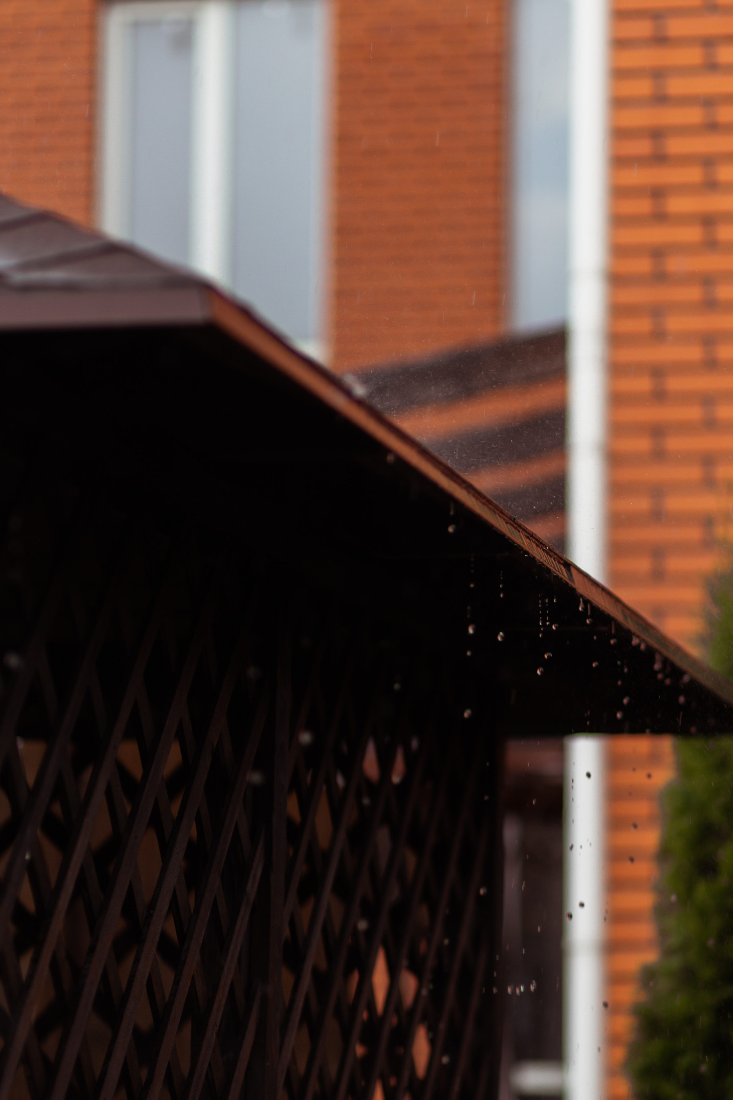 Яна & Саша. Свадебный фотограф в Туле и Москве Елена Рубцова