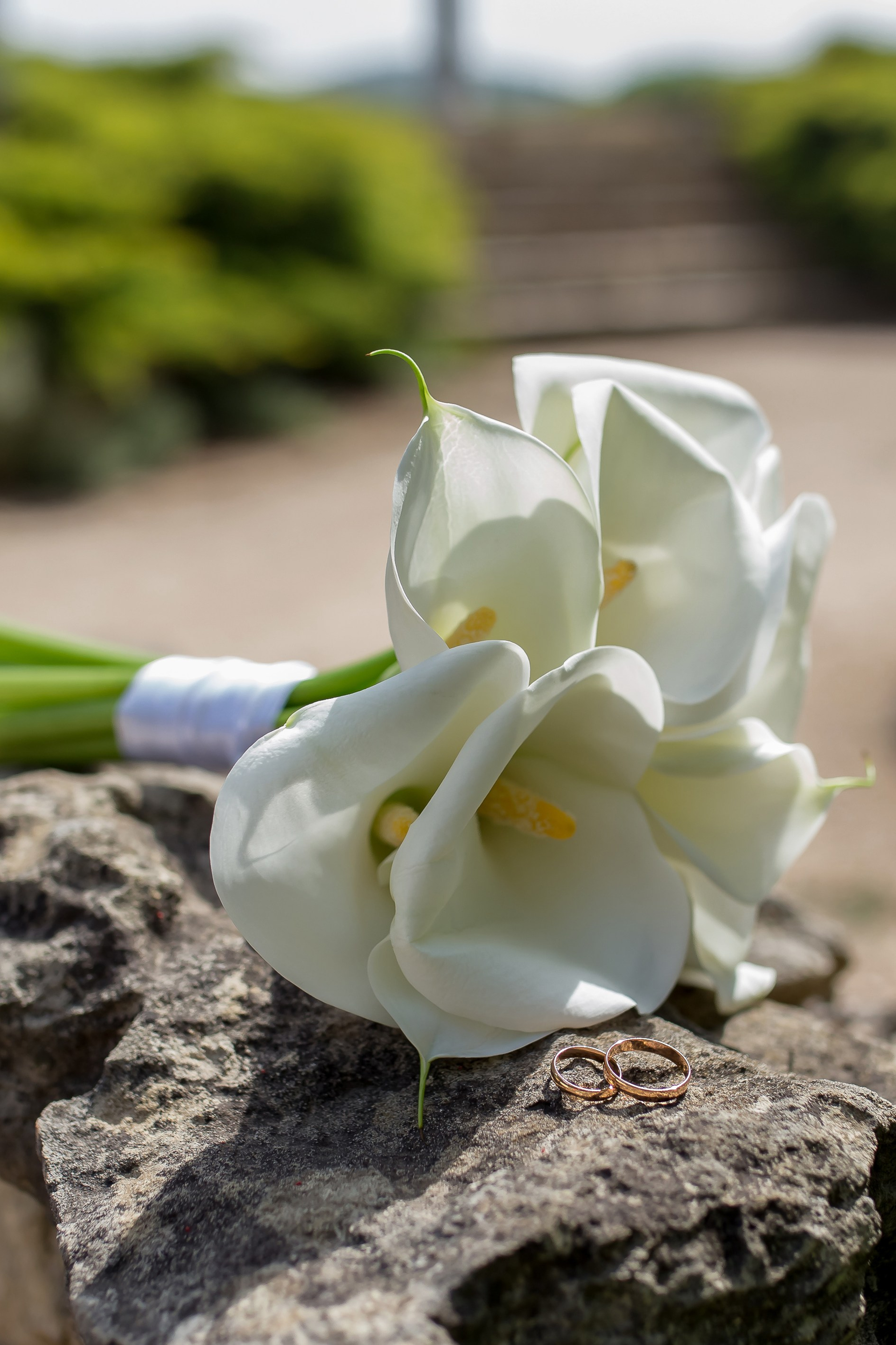 Василий и Екатерина