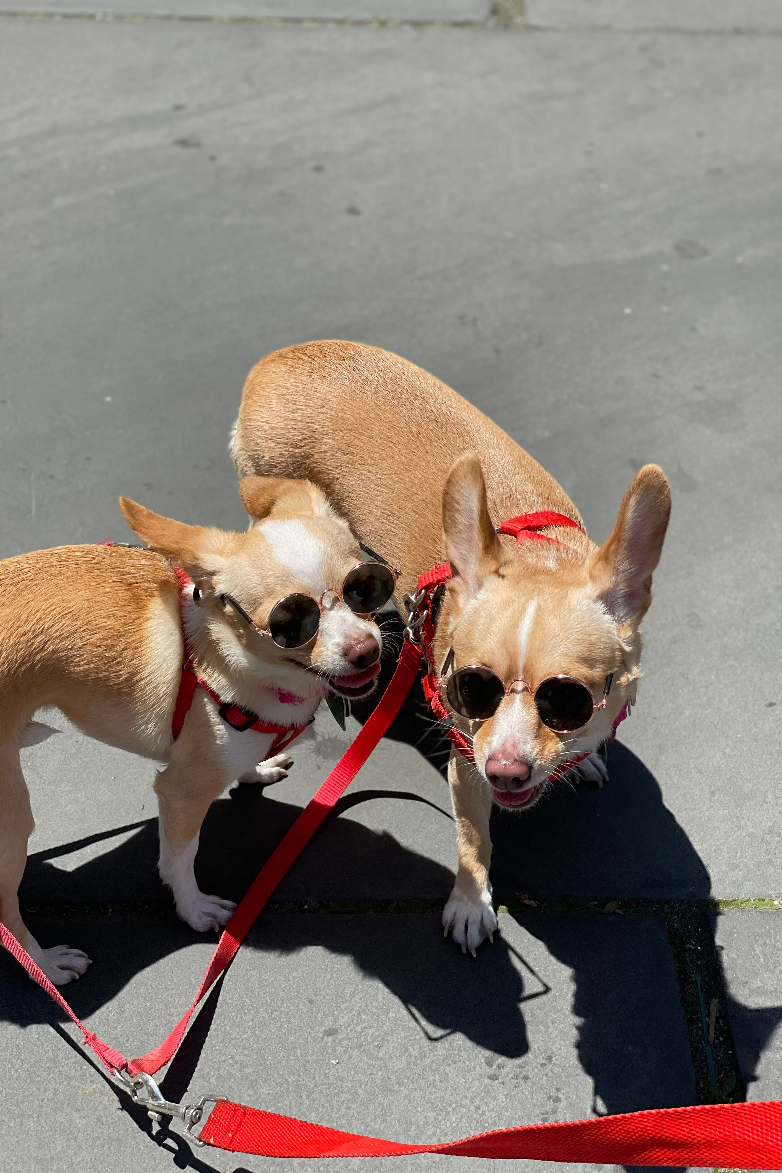 Отзывы. Фотографирую стиль