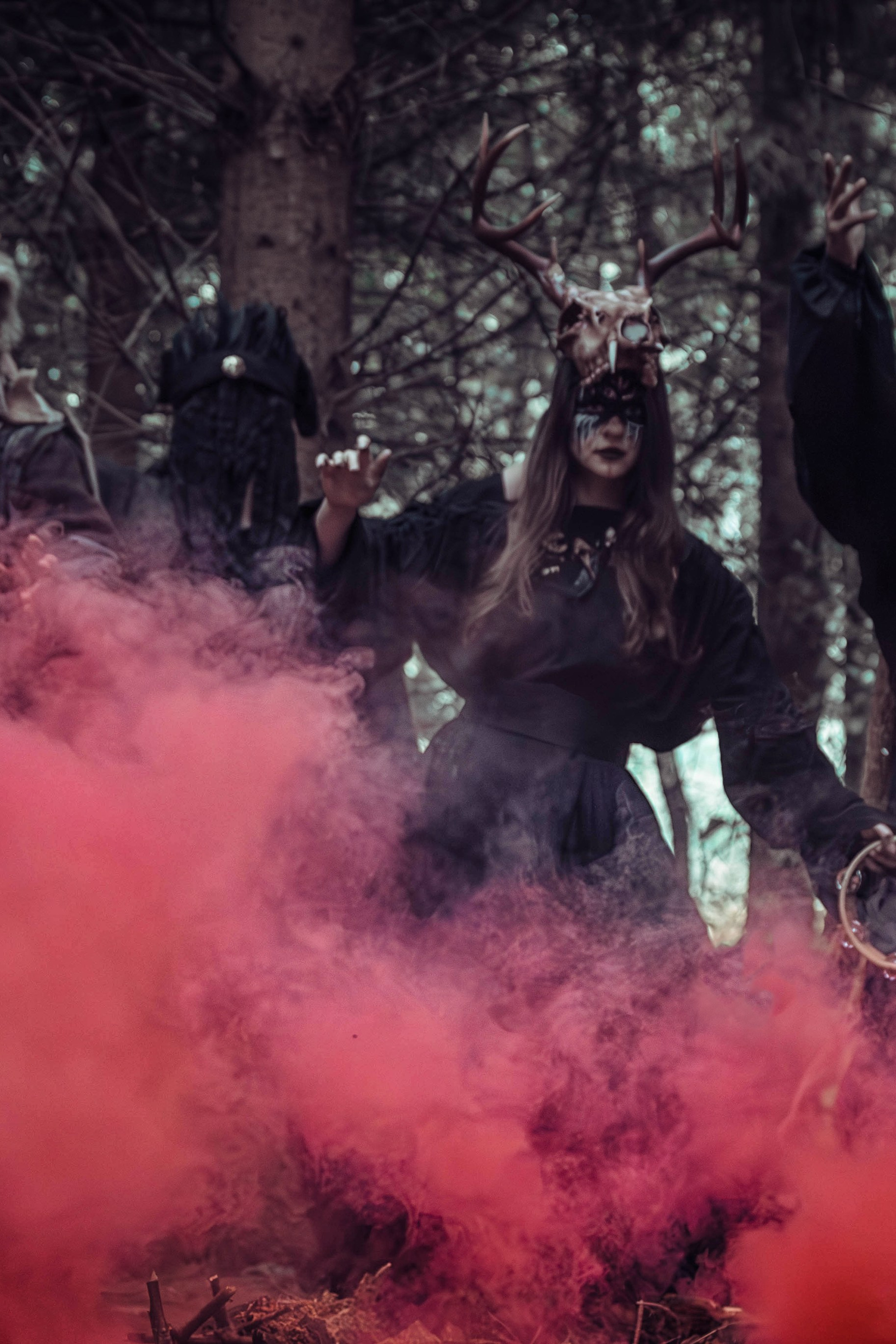 Портретная фотосессия в студии. Фотограф анималист — Тула, Москва