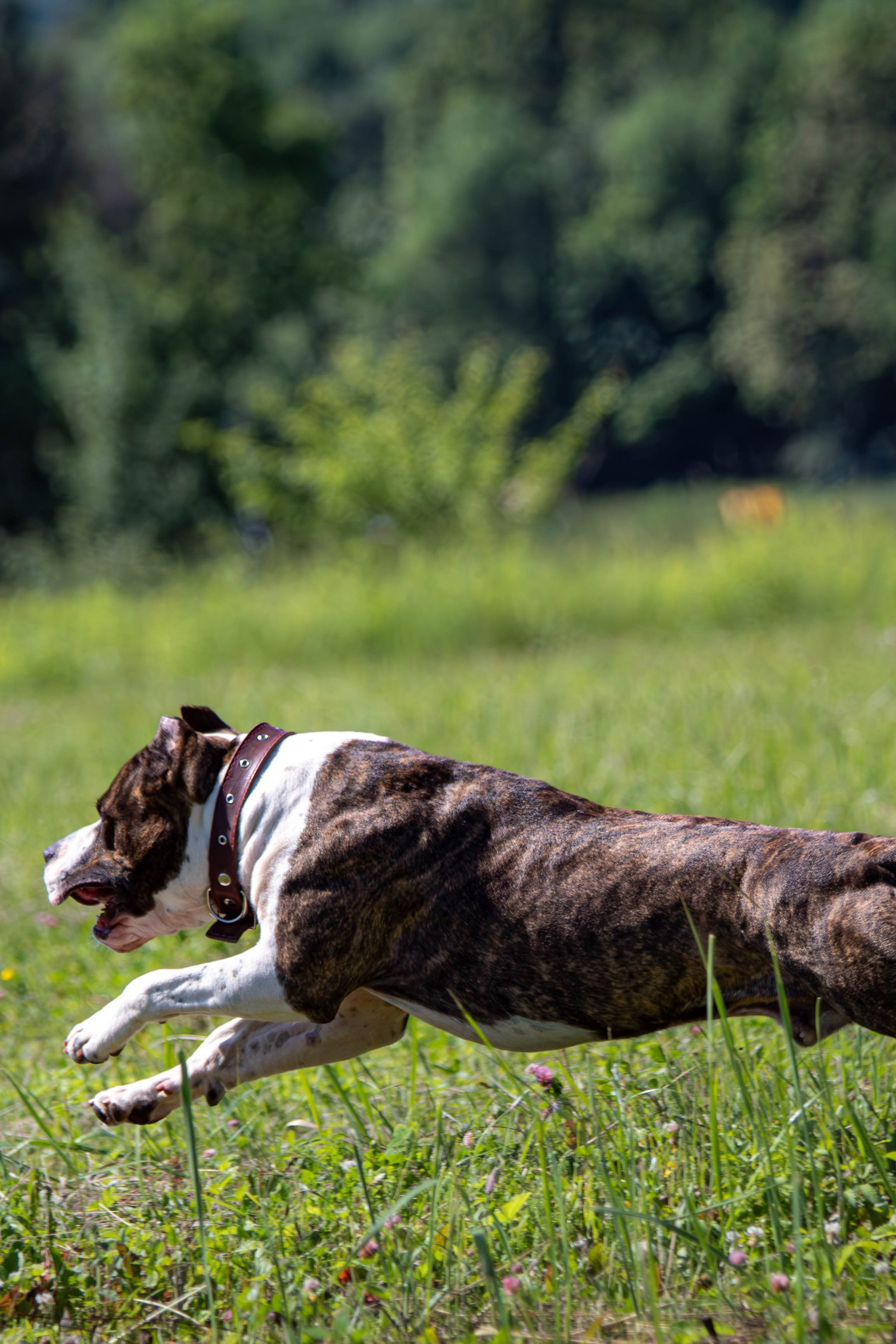 Курсинг в Туле