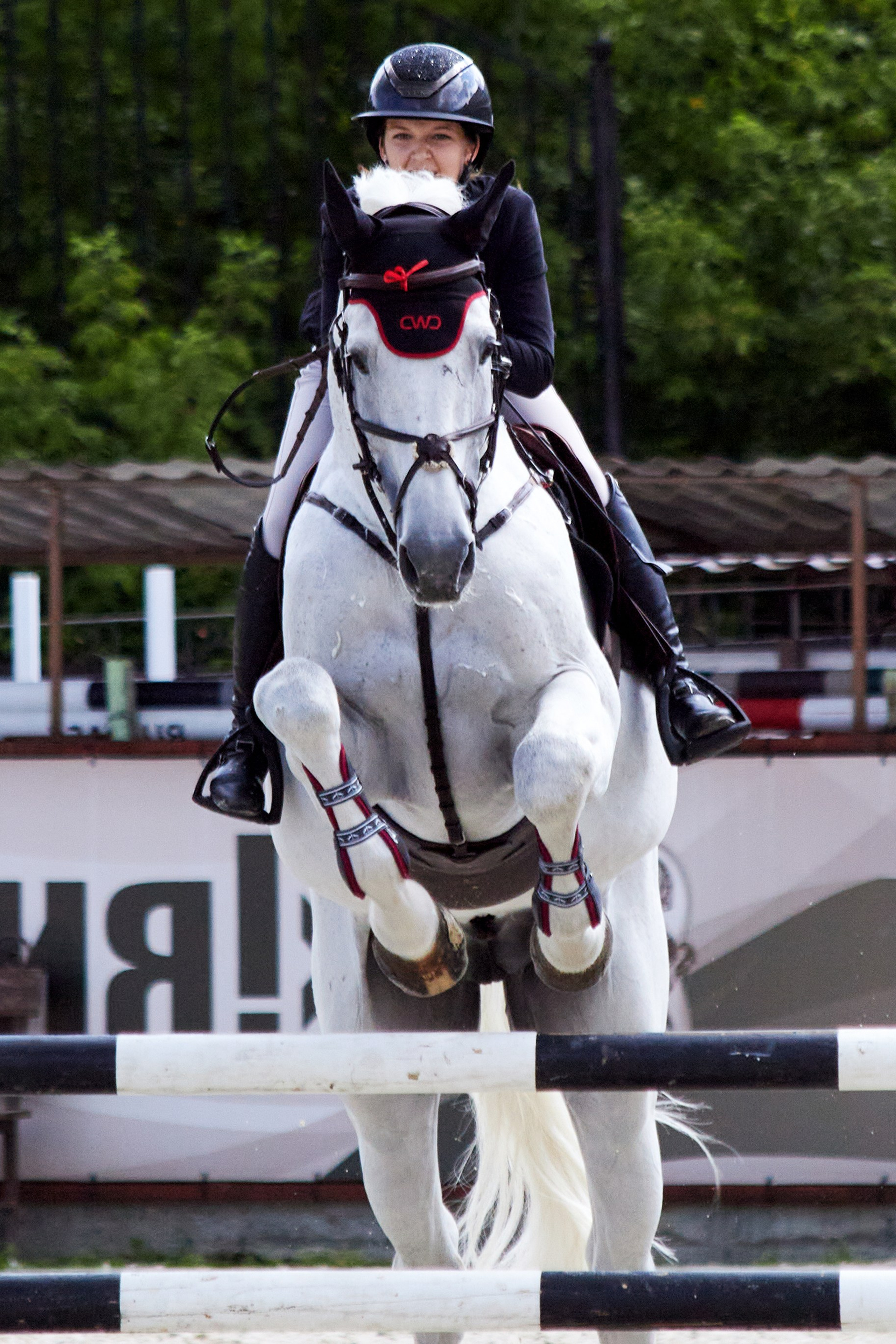 Конкур в «Виват, Россия»