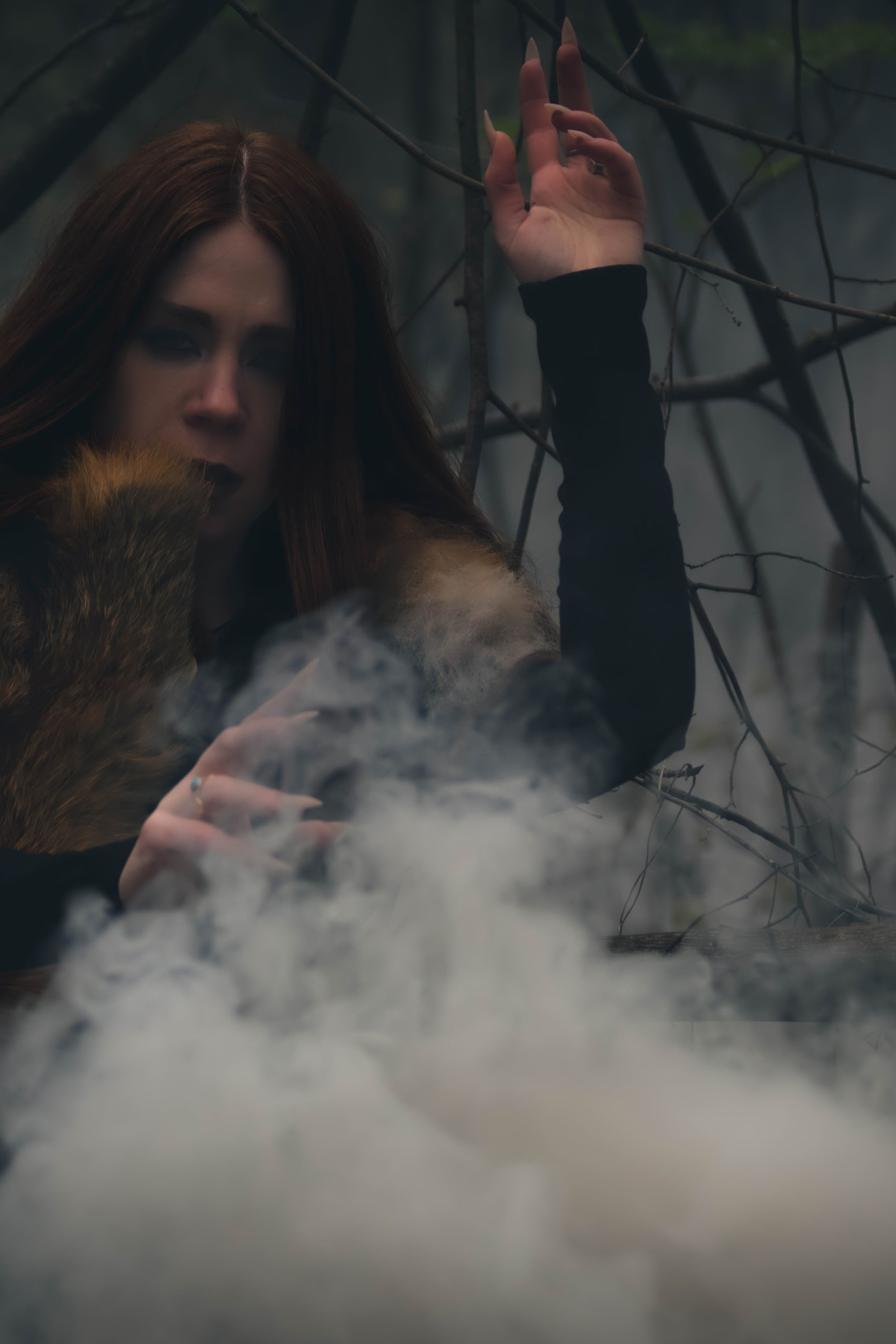 Портретная фотосессия в студии. Фотограф анималист — Тула, Москва