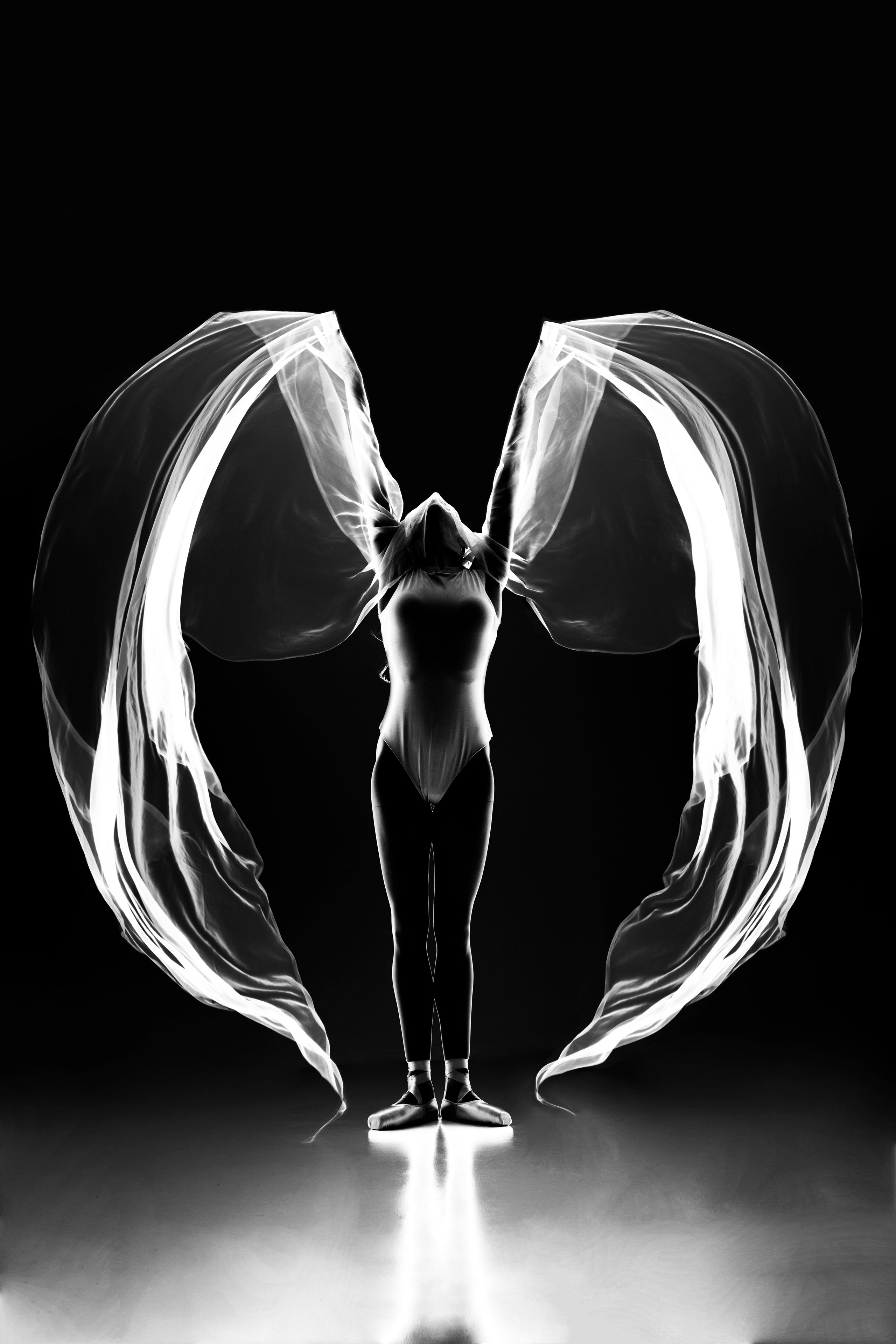 Искусство линии и света