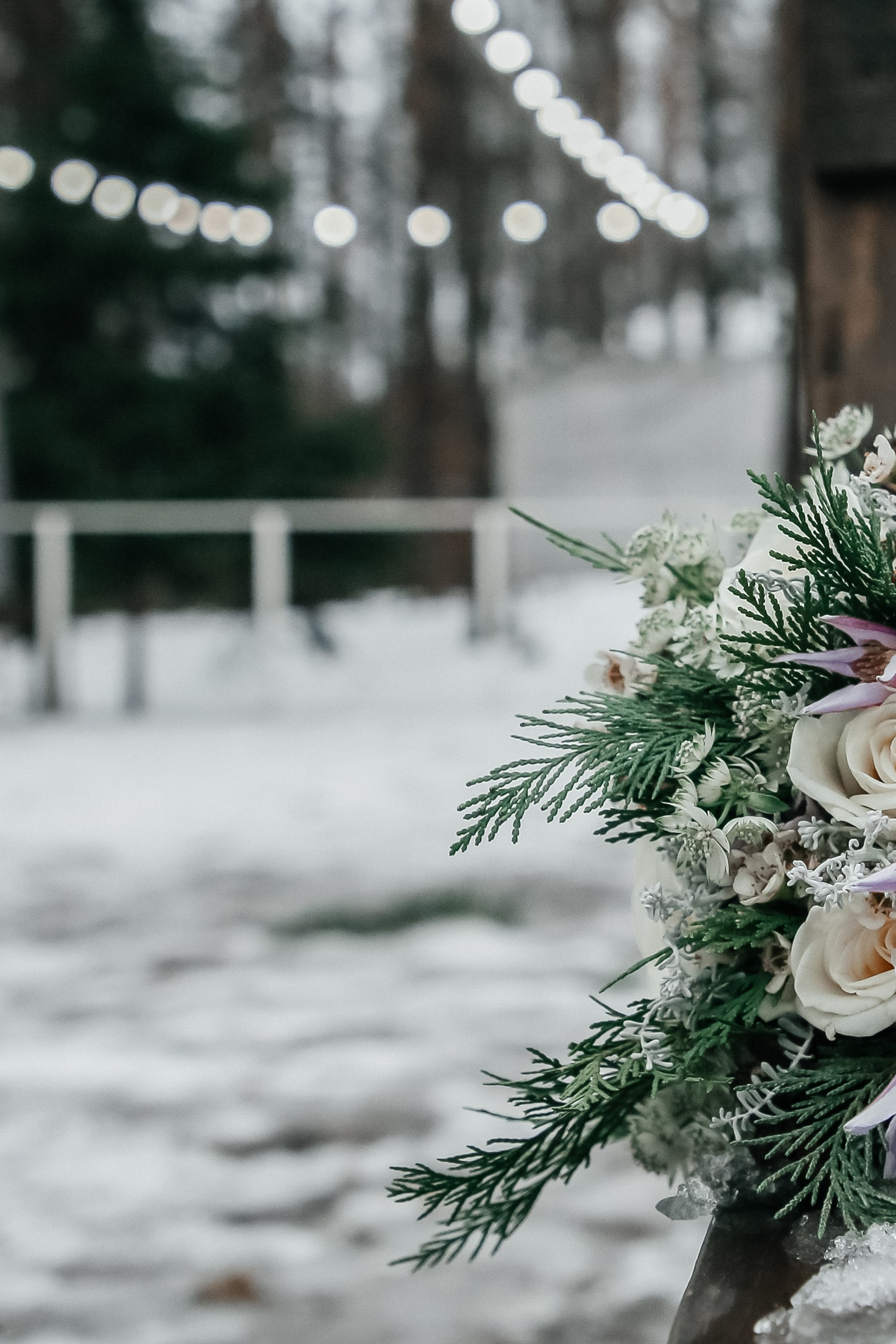 Свадьба Лесной Берег