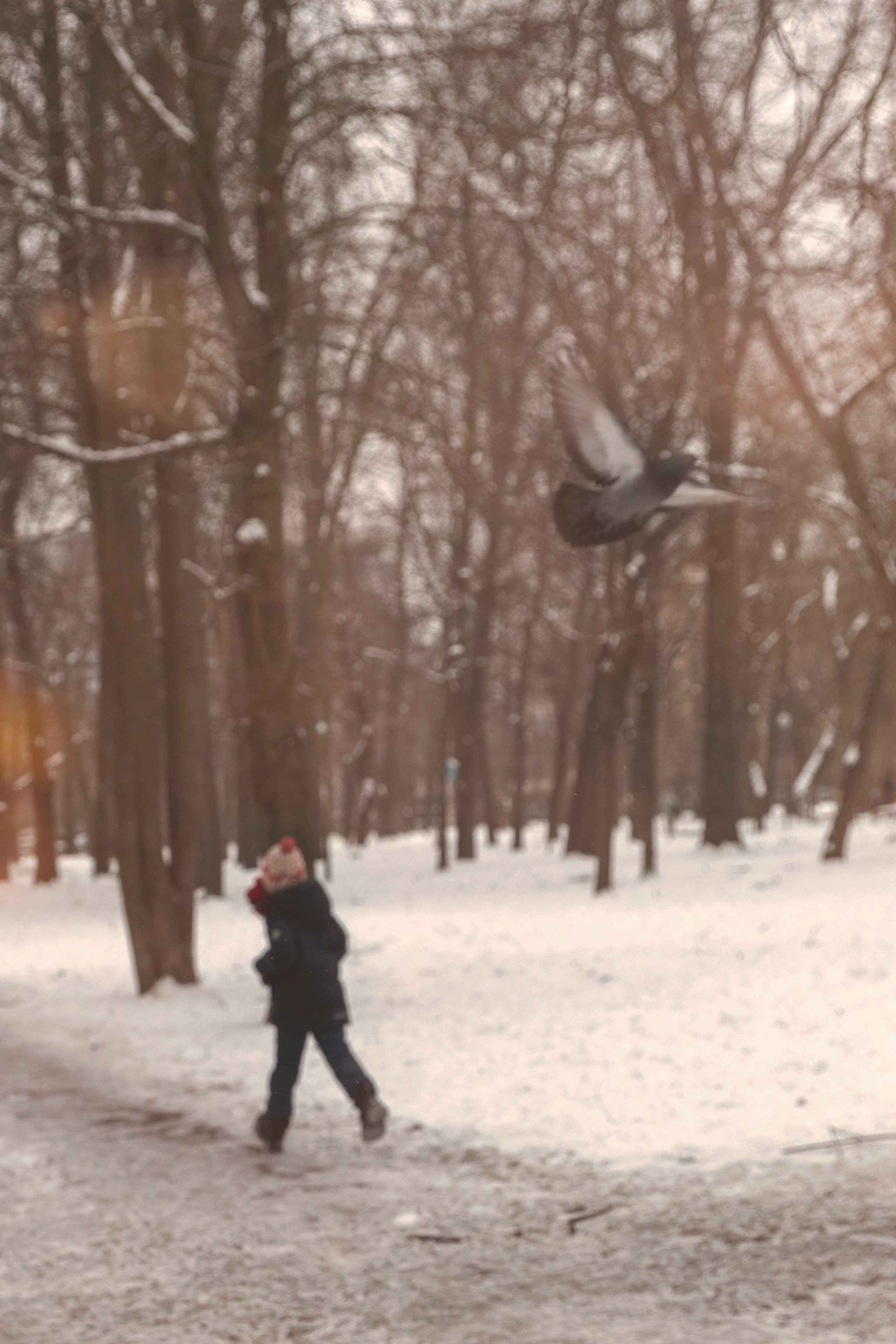 Кейс Фотосессия Один дома