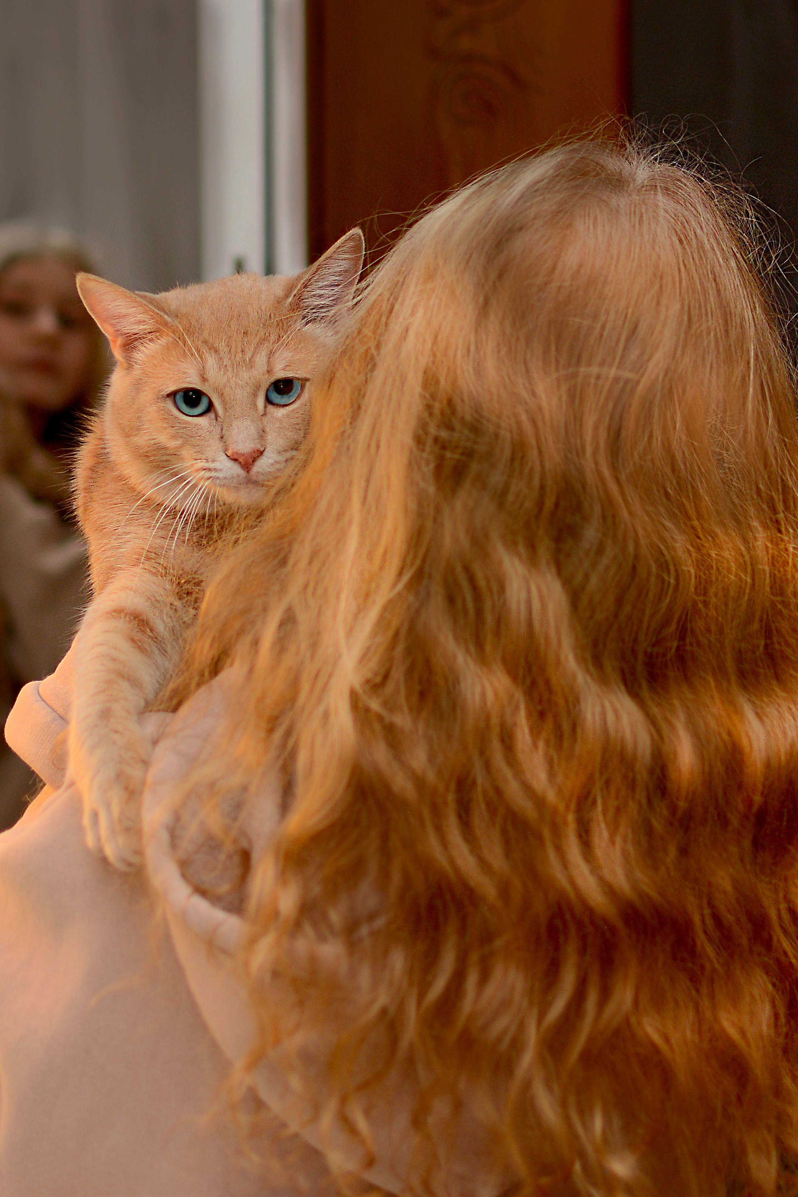 НГ Фотосессия. Семейный фотограф