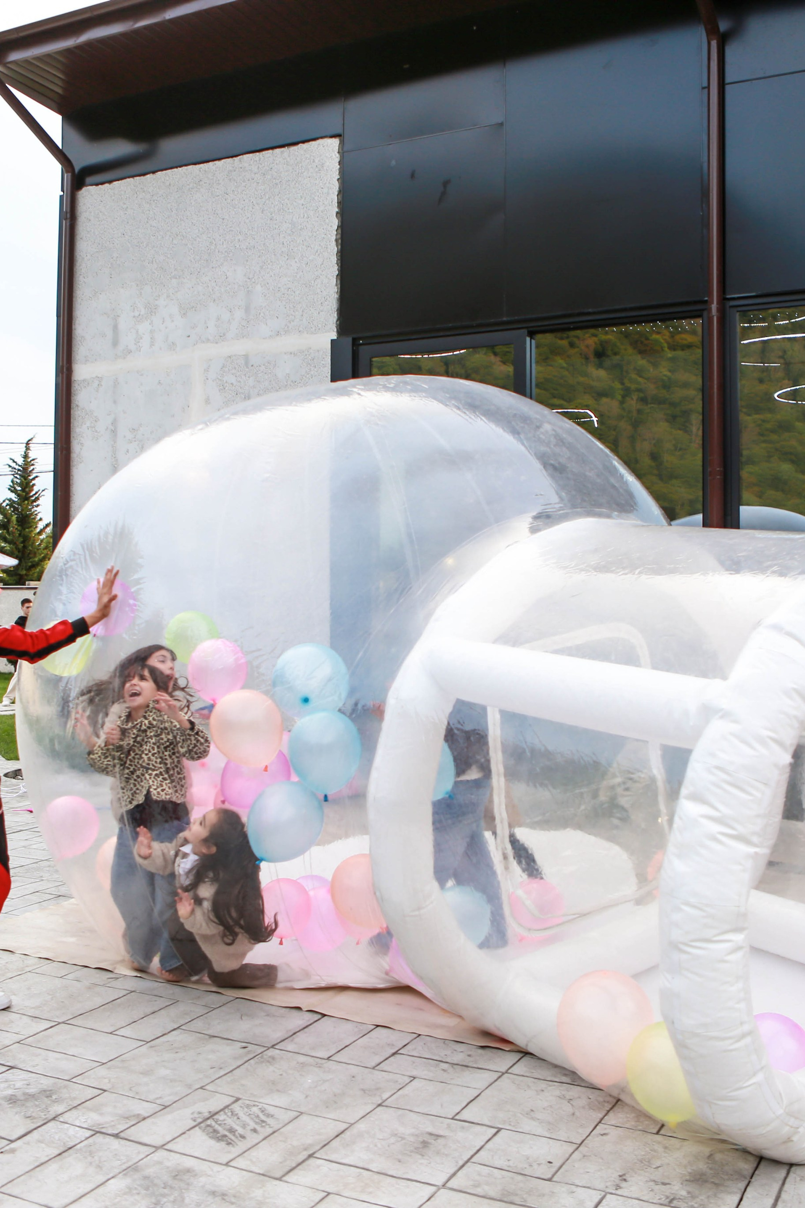 День рождение Александра. Отзывы