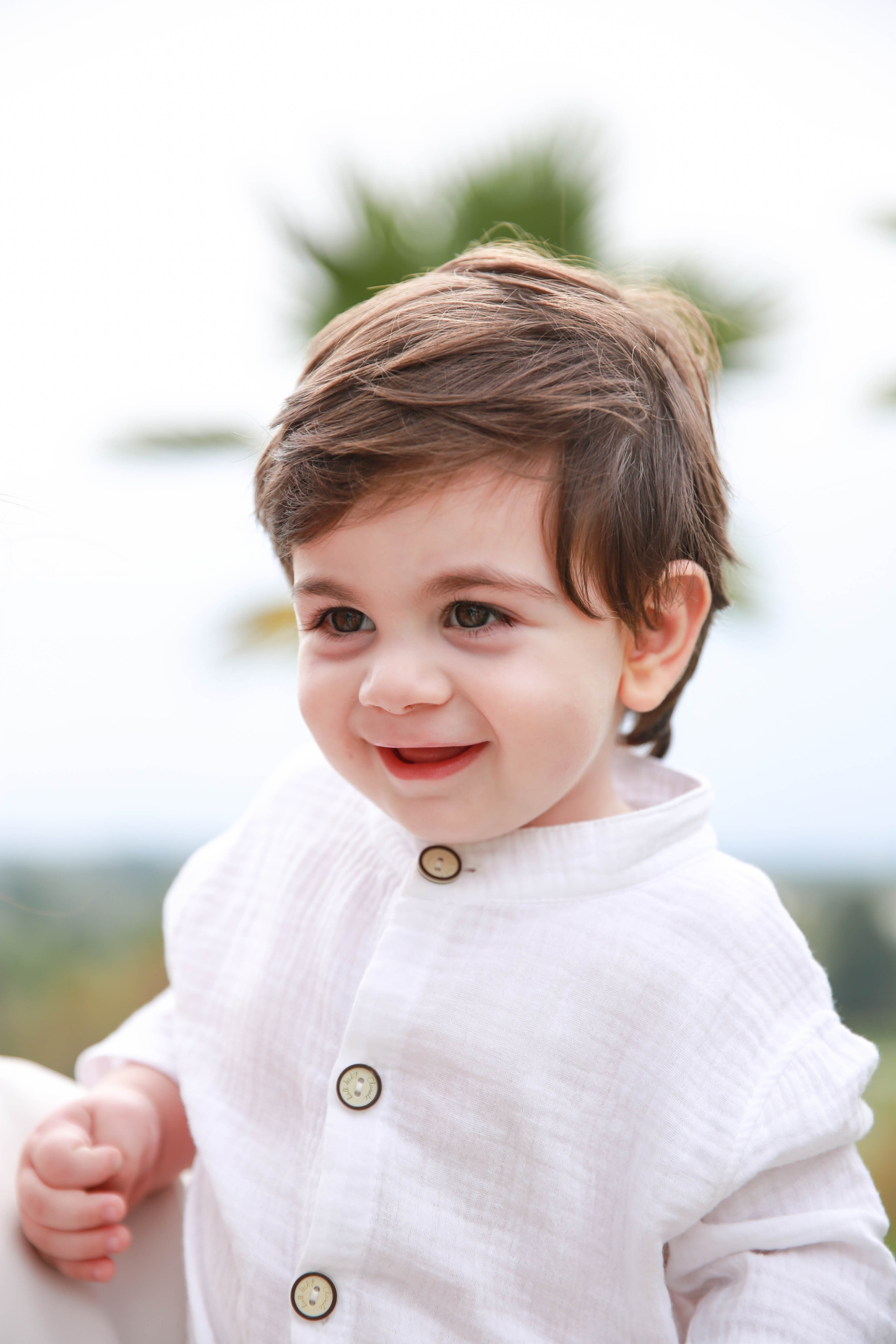 Крещение Лукаши, Драндский собор. Отзывы