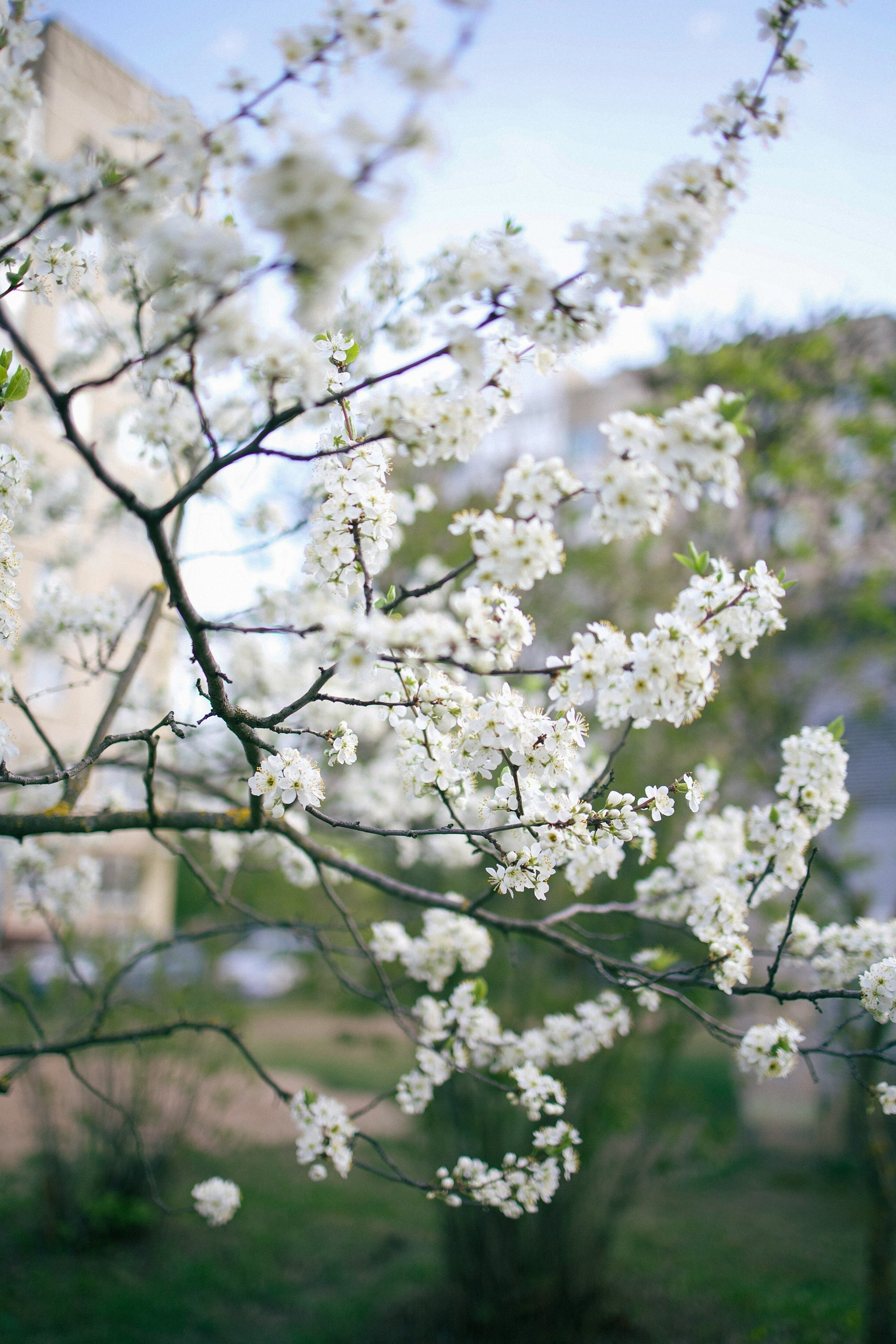 Nastya. Фотограф Кострома Алёна Соловьёва