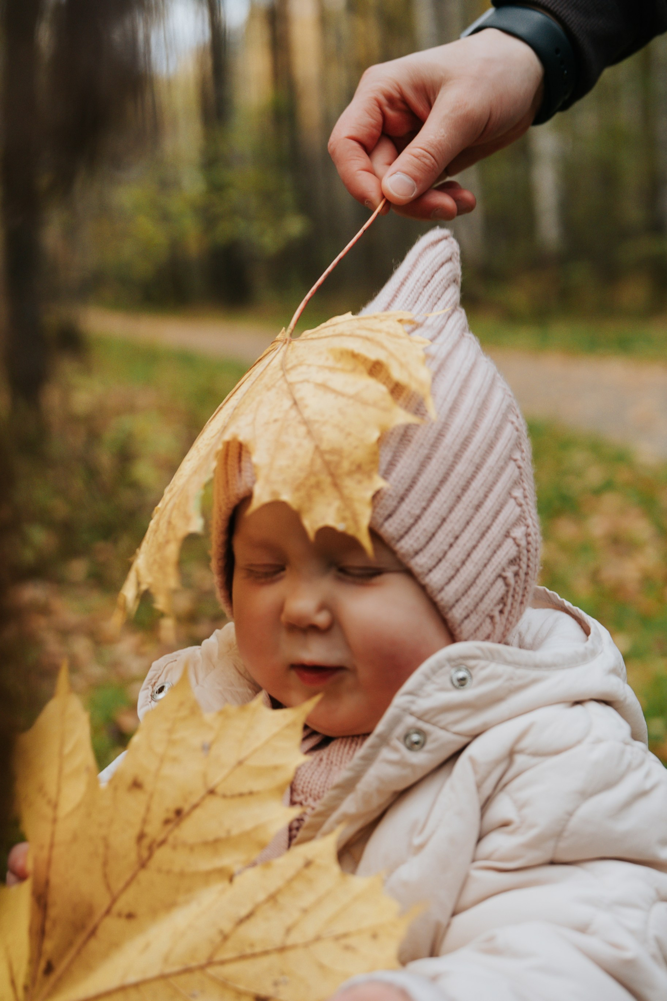 Первая осень
