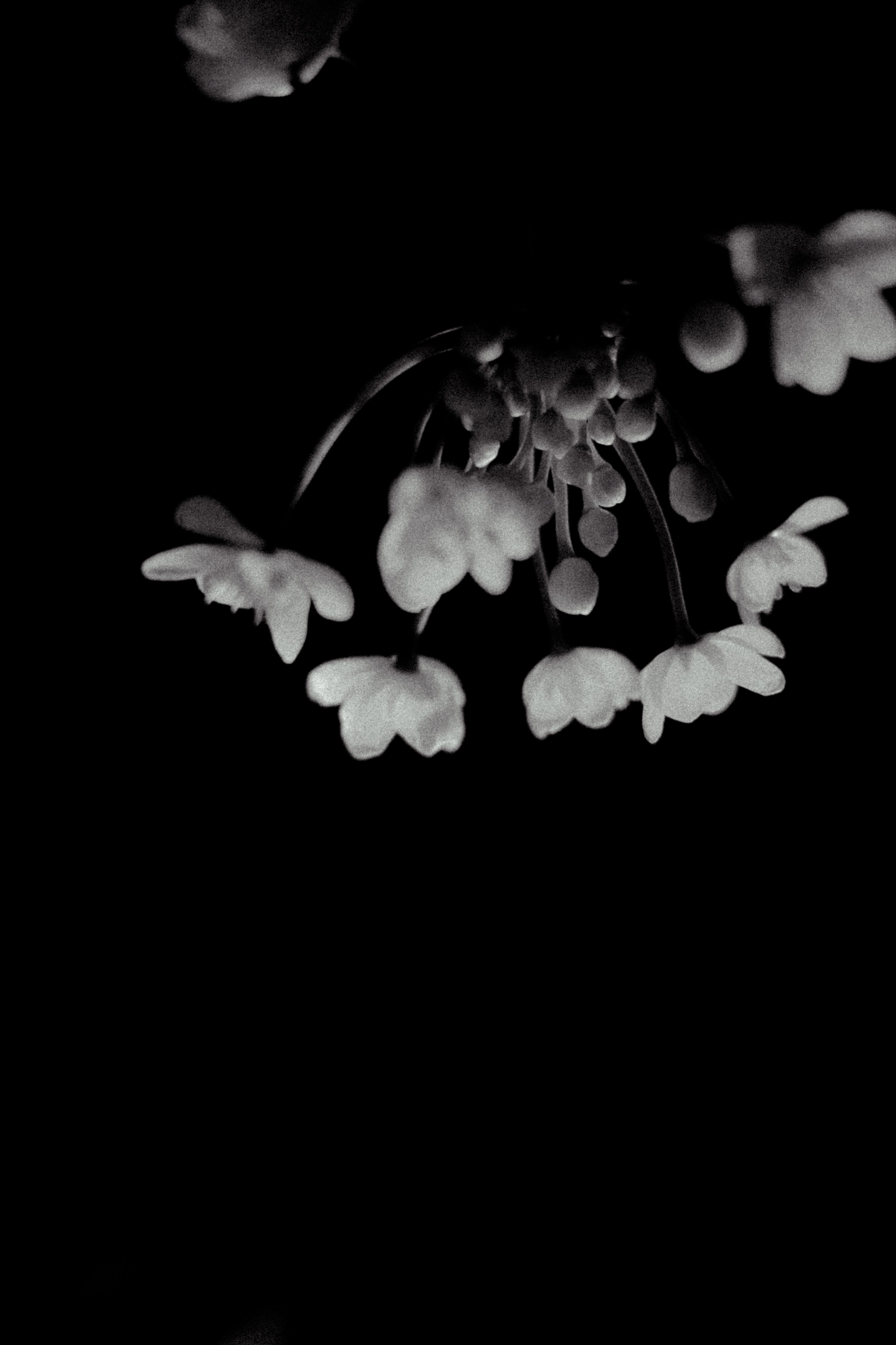 Галерея. Портретный фотограф в Ярославле София Фоменко