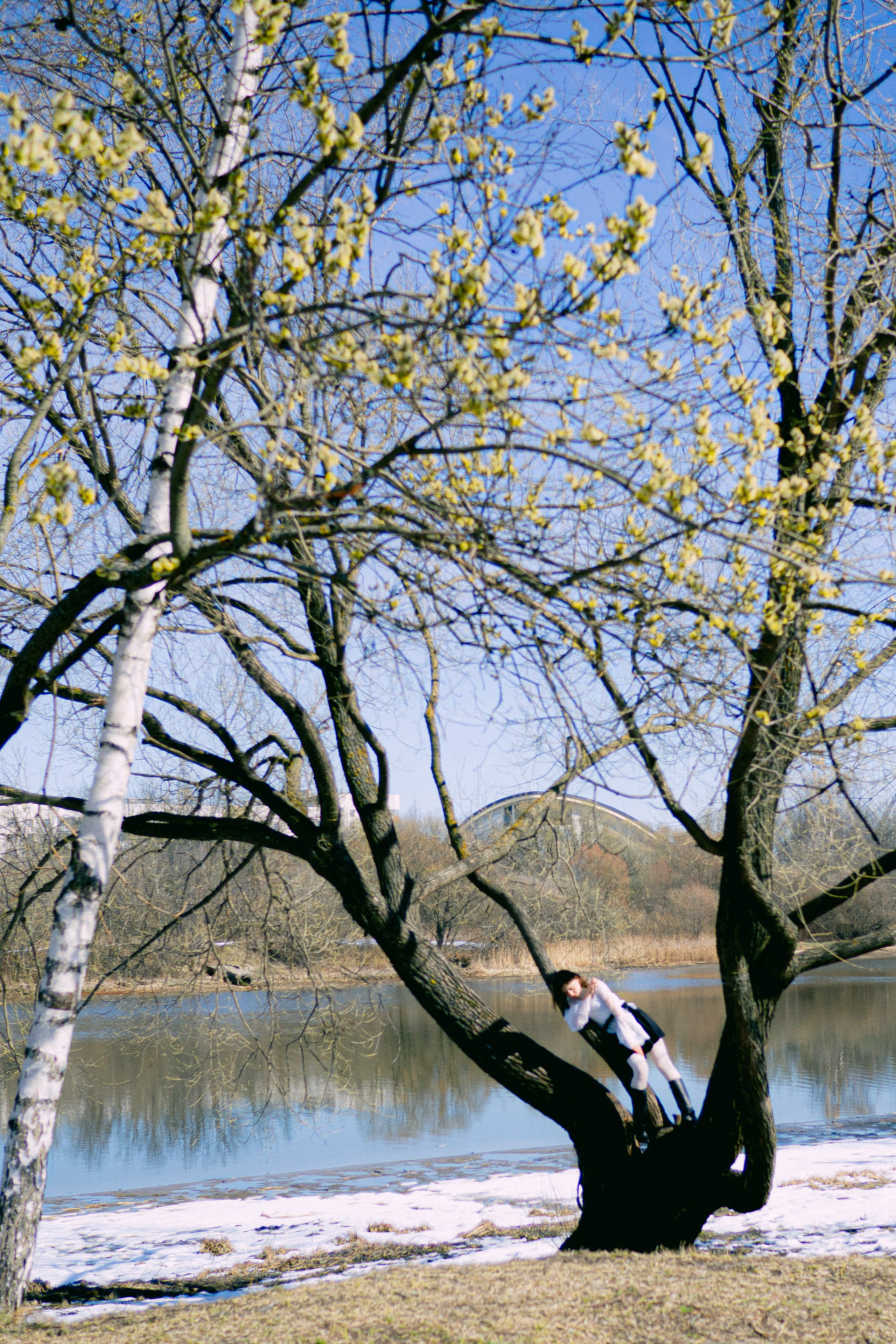Галерея. Портретный фотограф в Ярославле София Фоменко