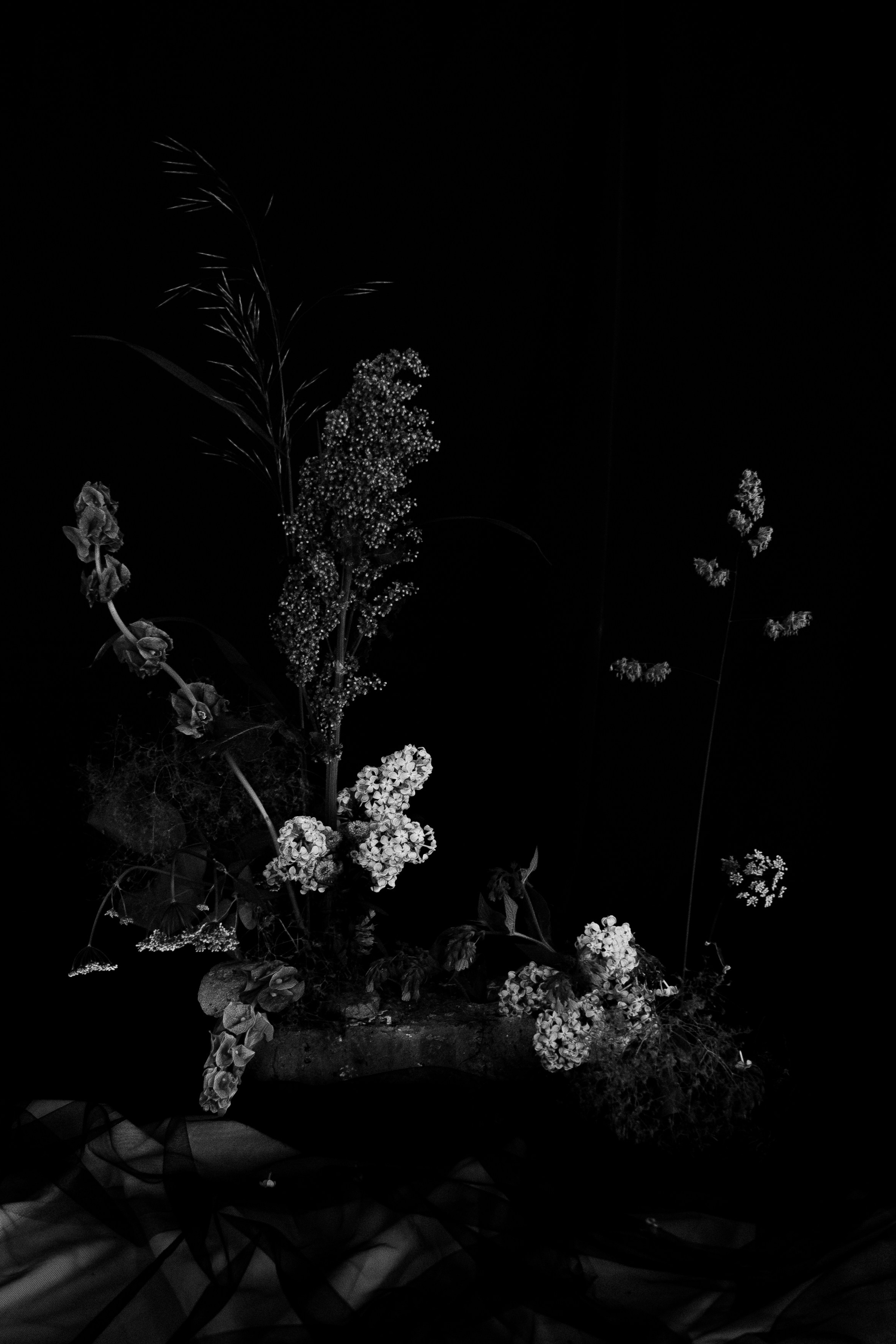 Галерея. Портретный фотограф в Ярославле София Фоменко