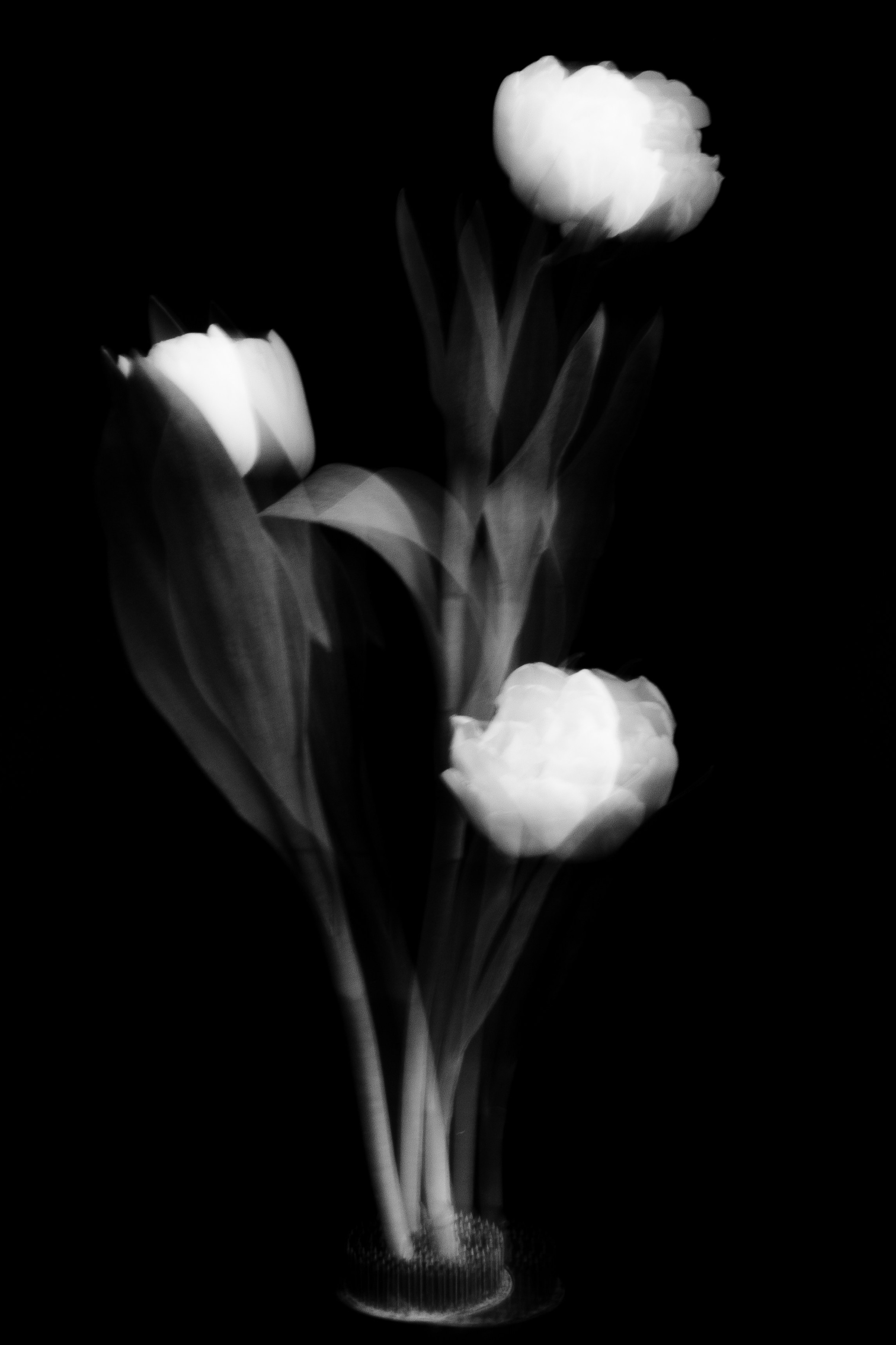 Галерея. Портретный фотограф в Ярославле София Фоменко