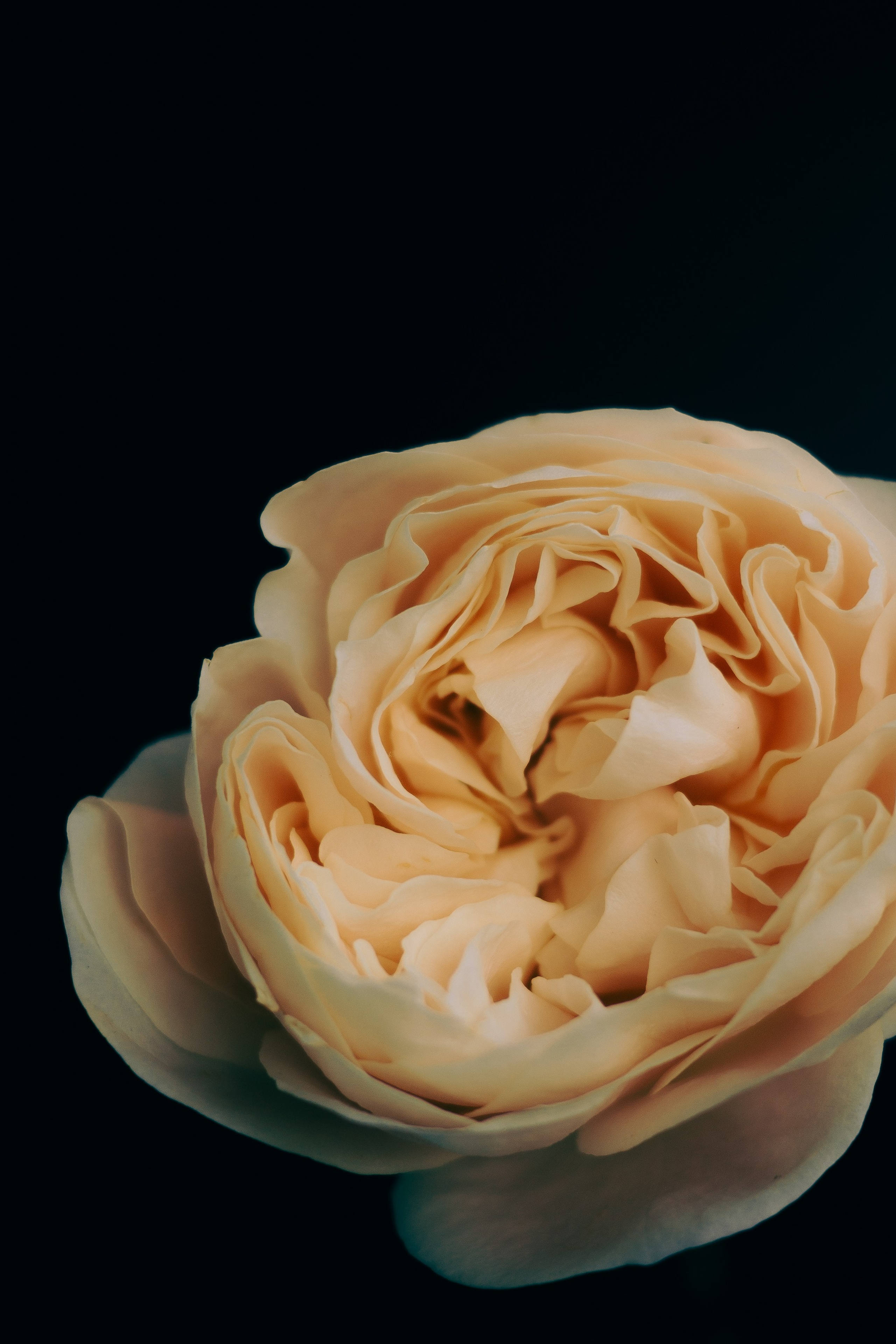 Галерея. Портретный фотограф в Ярославле София Фоменко