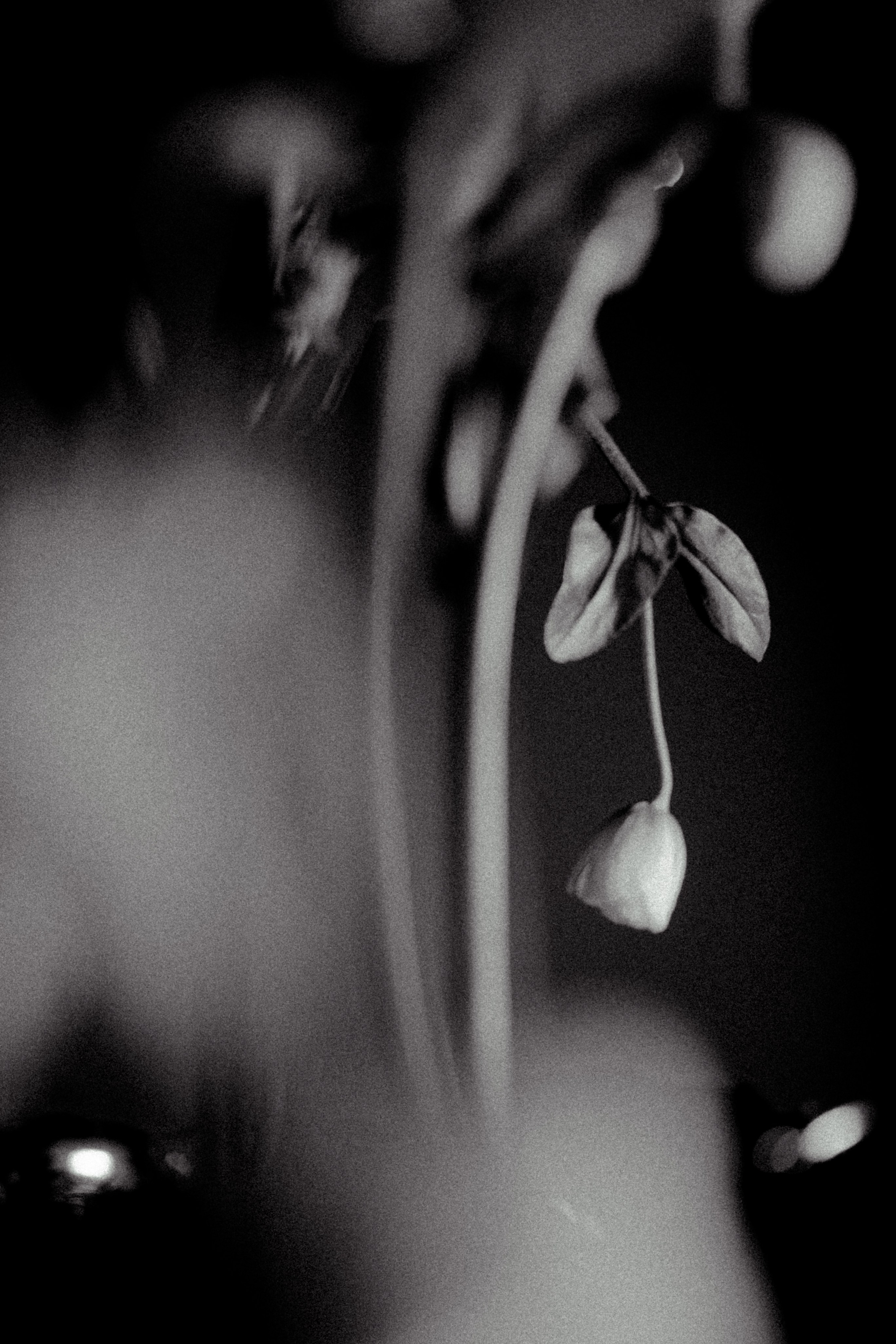 Галерея. Портретный фотограф в Ярославле София Фоменко