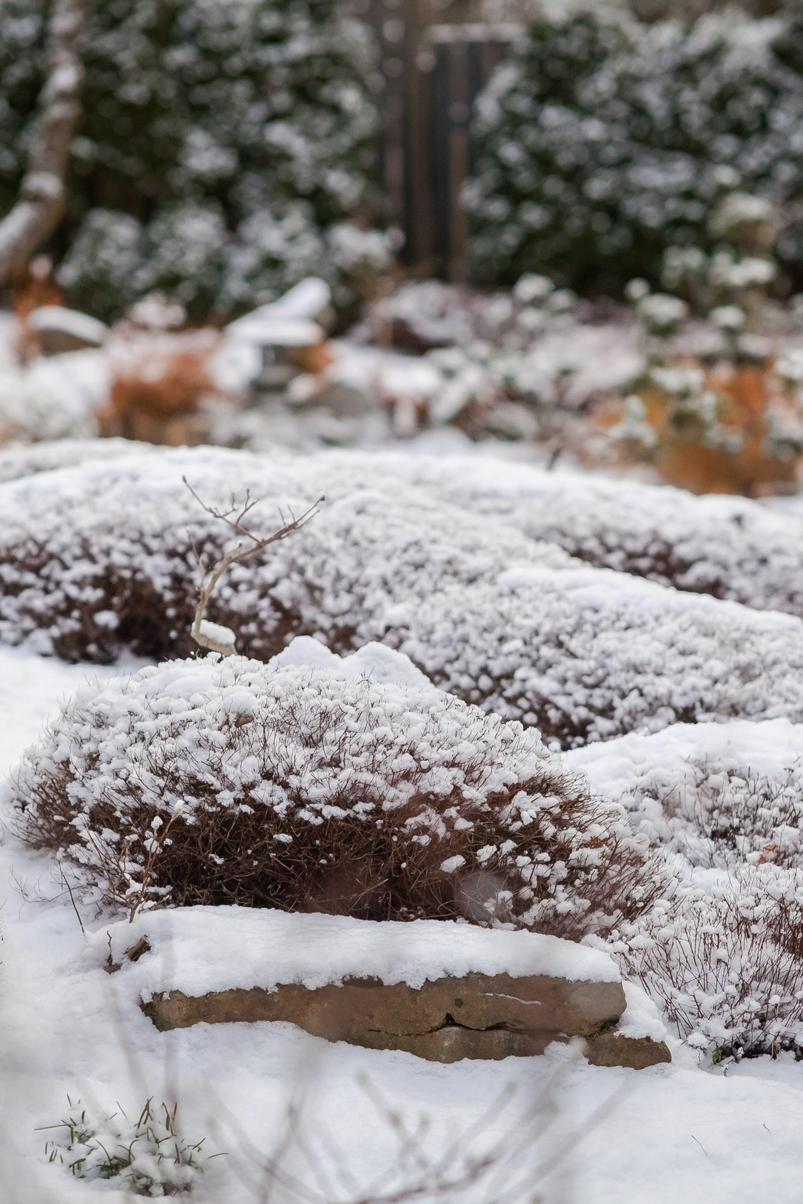 Зимняя фотосессия. Виталий Туманов — Ландшафтный фотограф