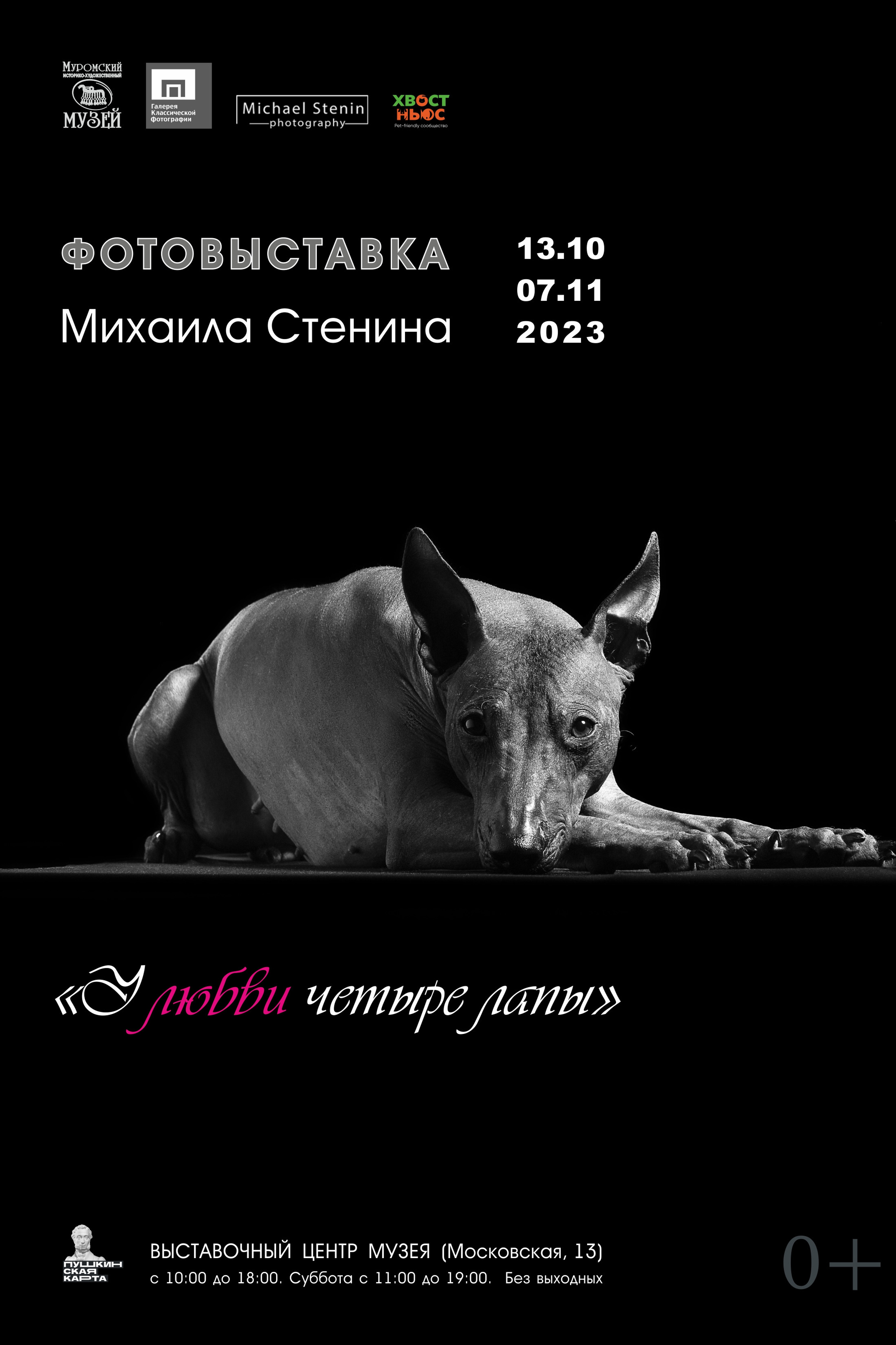 Михаил Стенин фотограф выставки. Photographer Michael Stenin