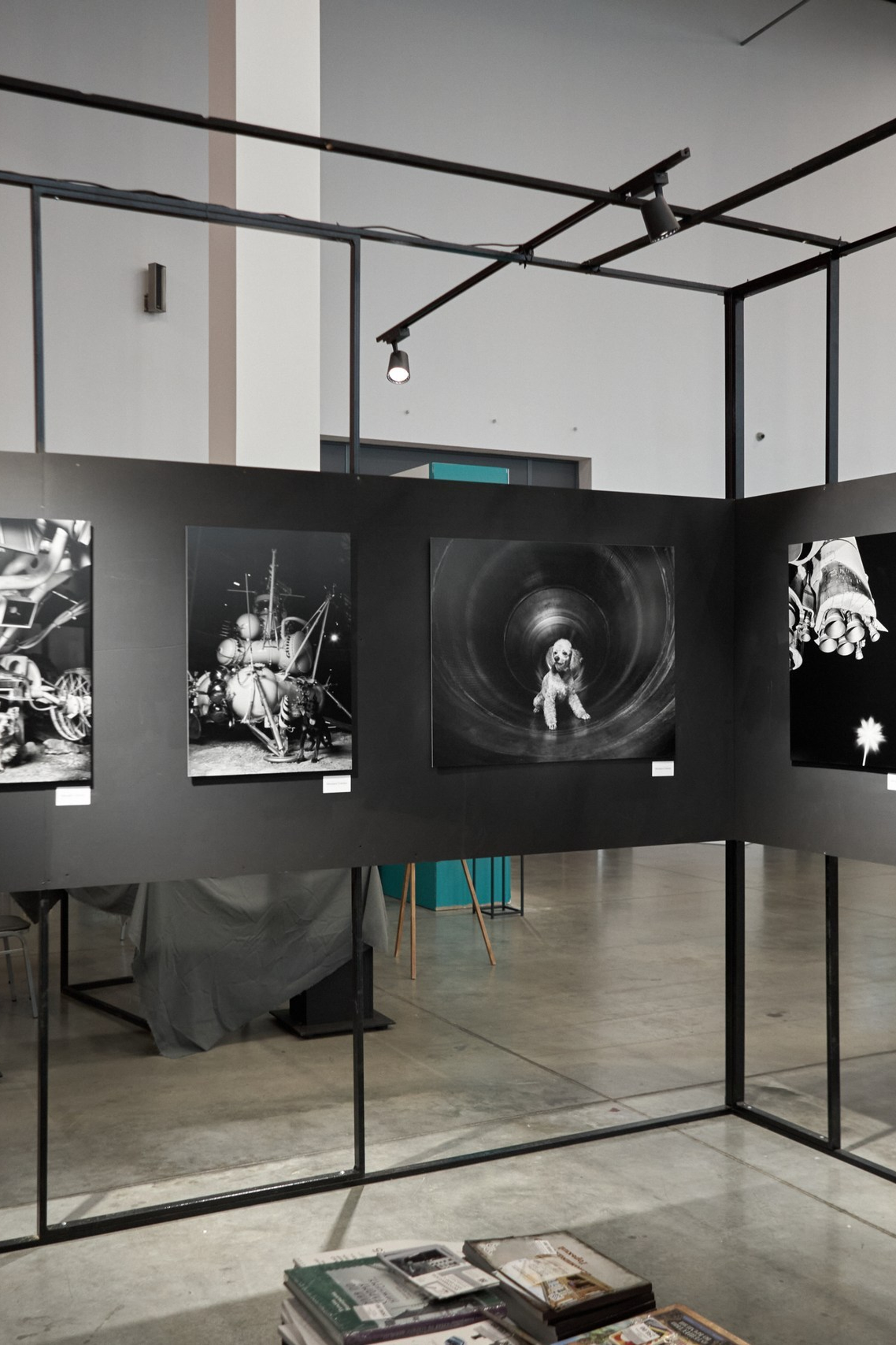 Михаил Стенин фотограф выставки. Photographer Michael Stenin