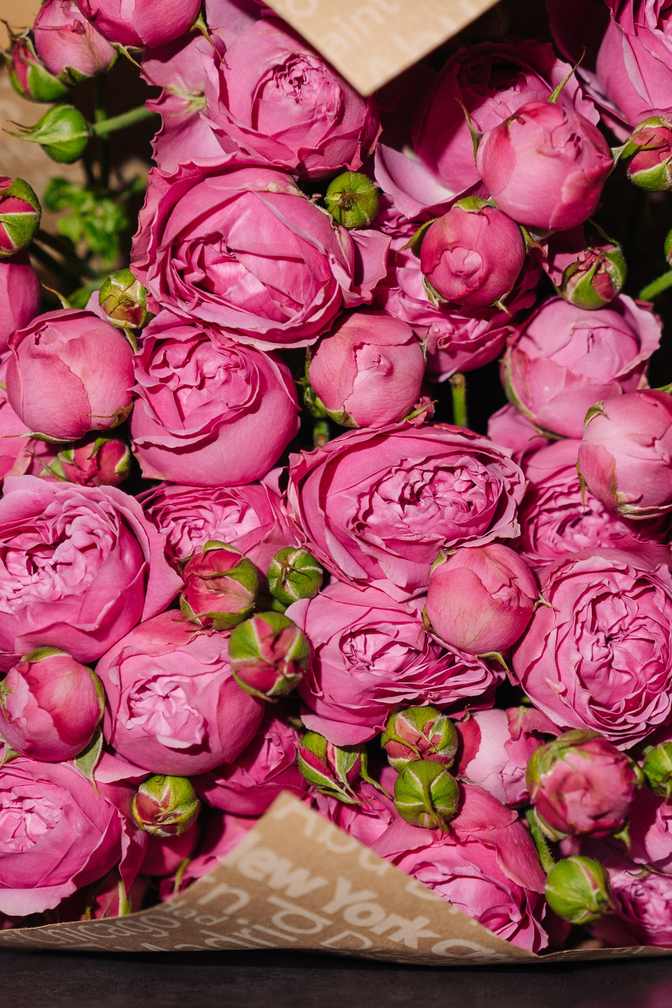 Репортаж. IzI_ photo