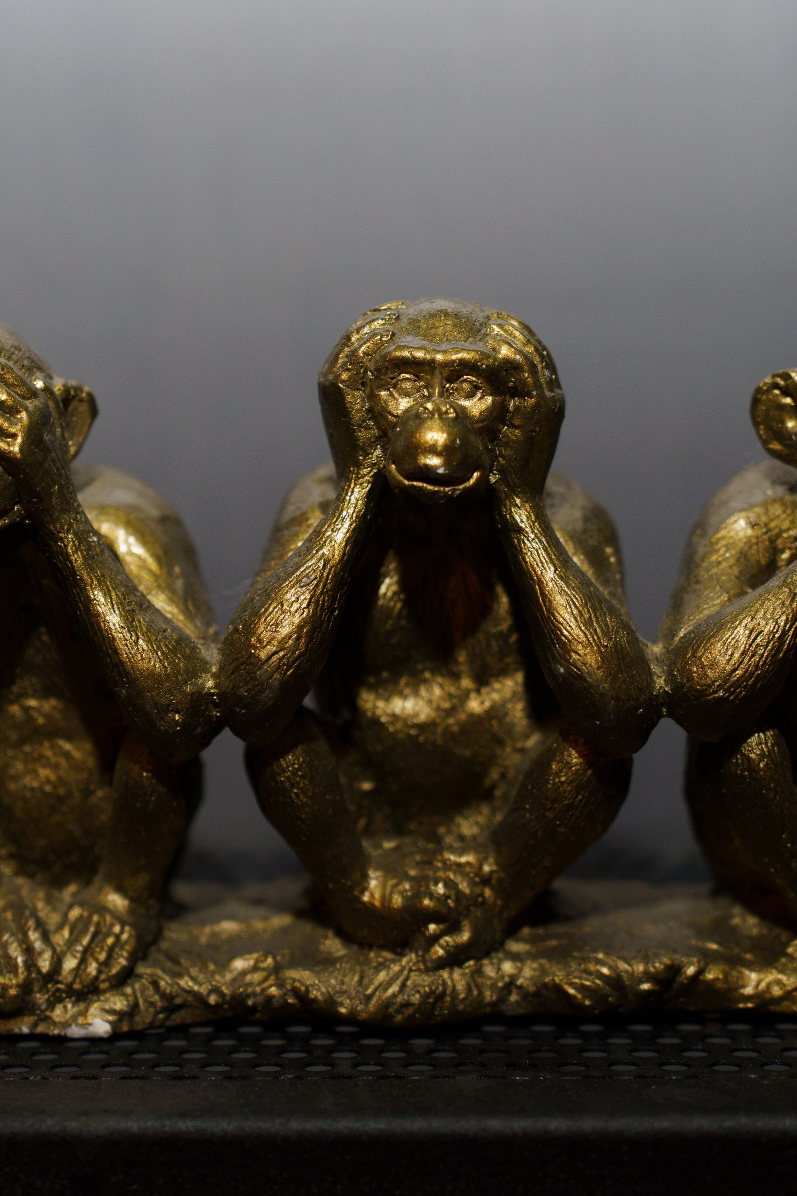 Репортаж. IzI_ photo