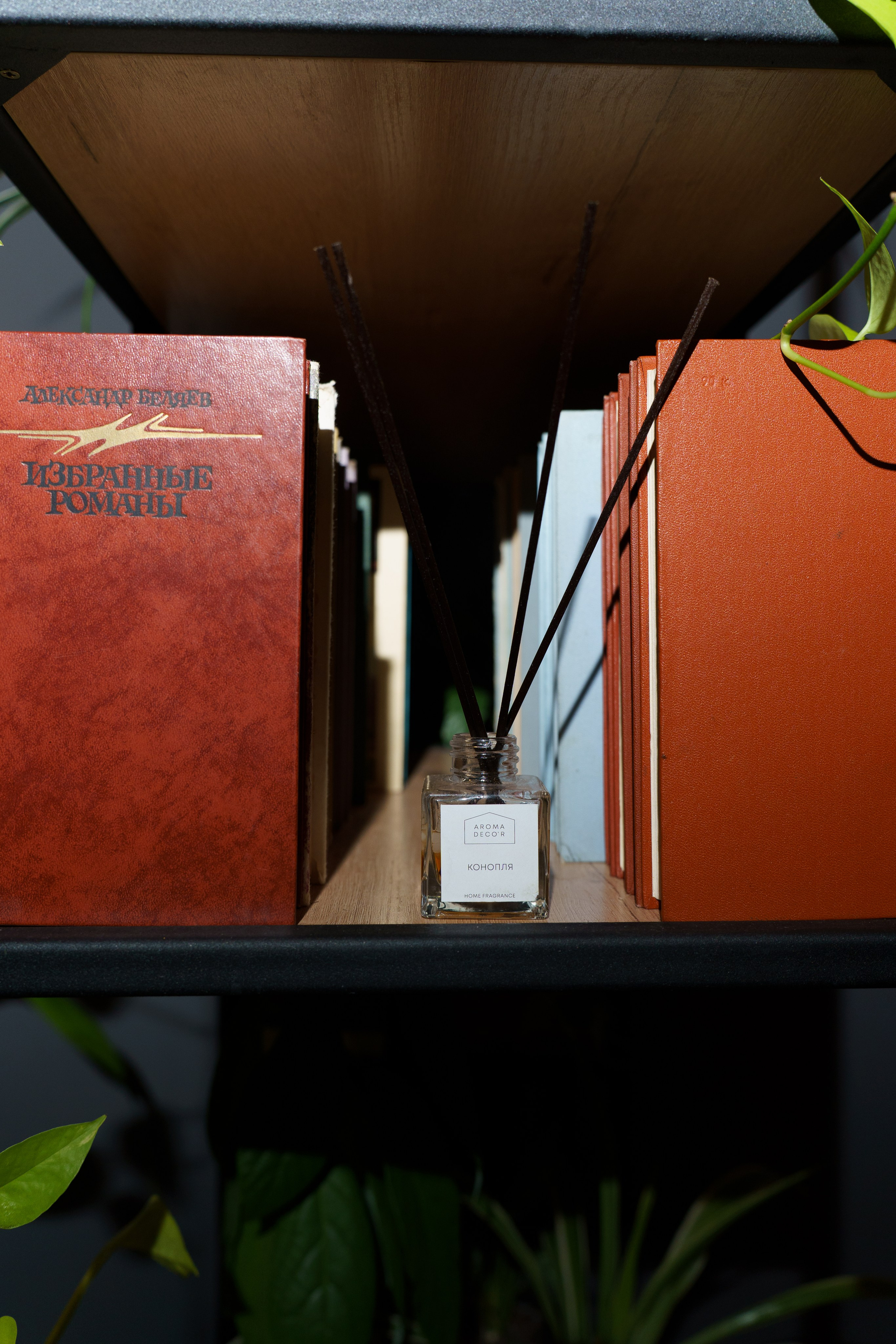 Репортаж. IzI_ photo