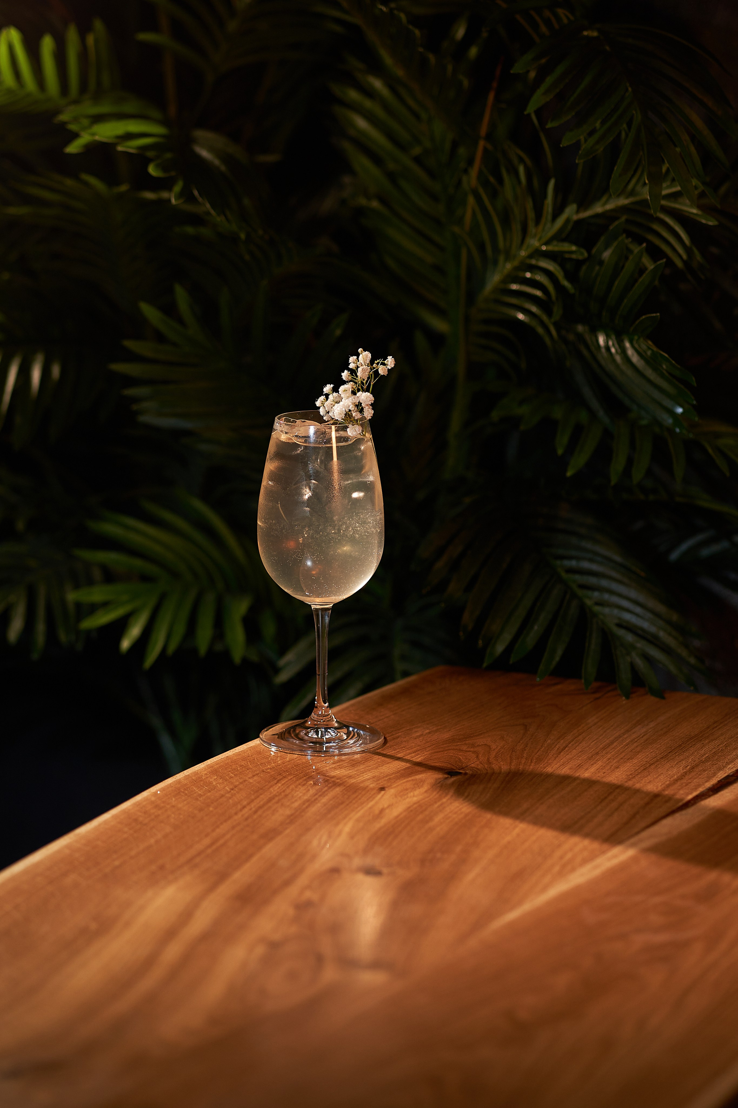 Меню. IzI_ photo