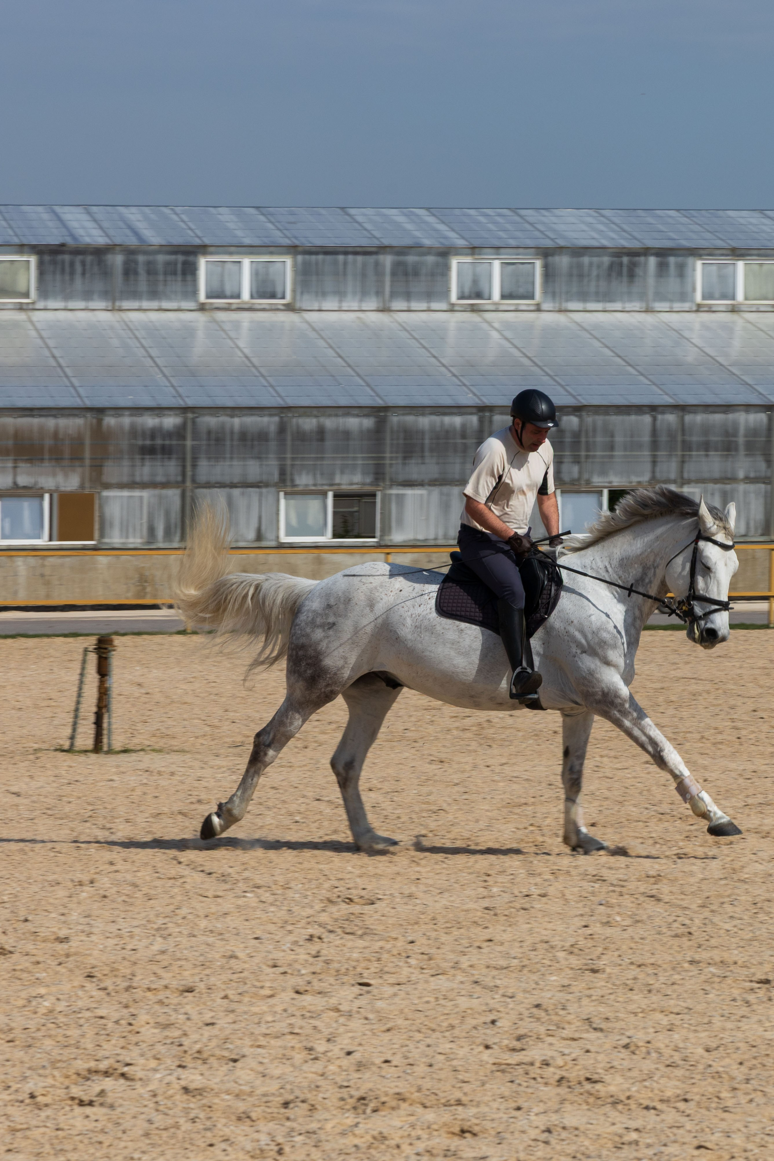 Репортаж.Конная тренировка