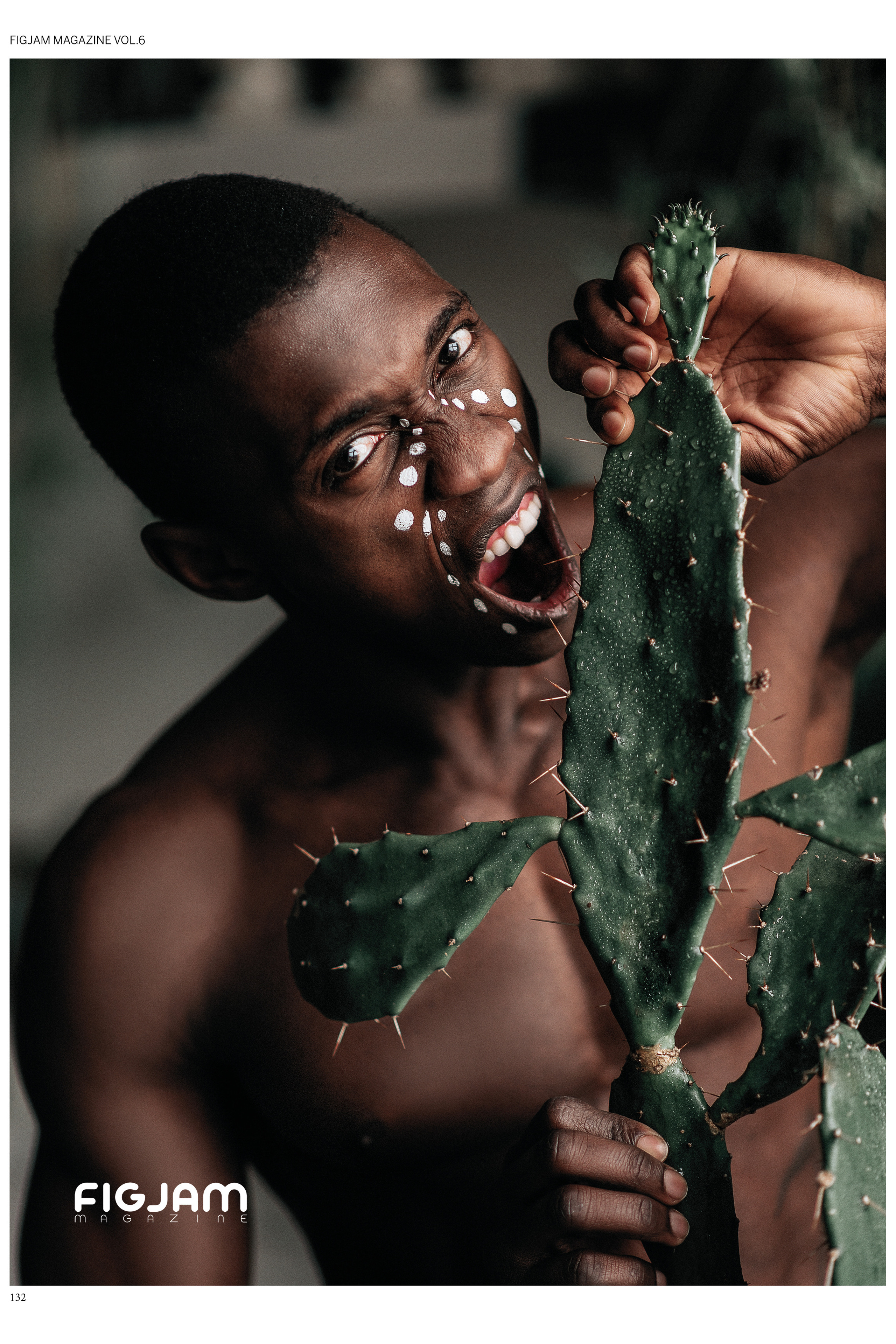 Публикации в журналах