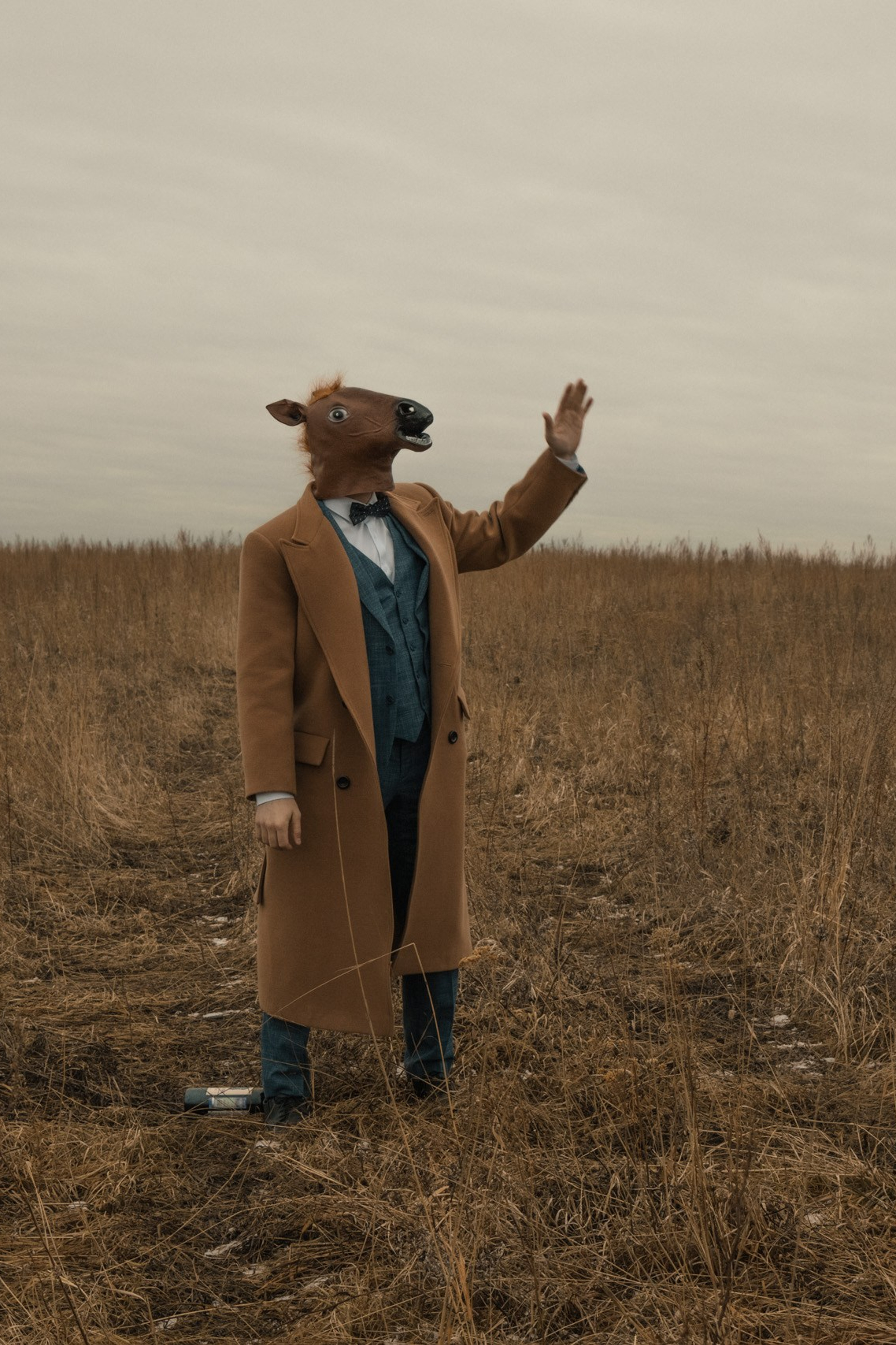 Конь в пальто, фотограф Джим Кривош