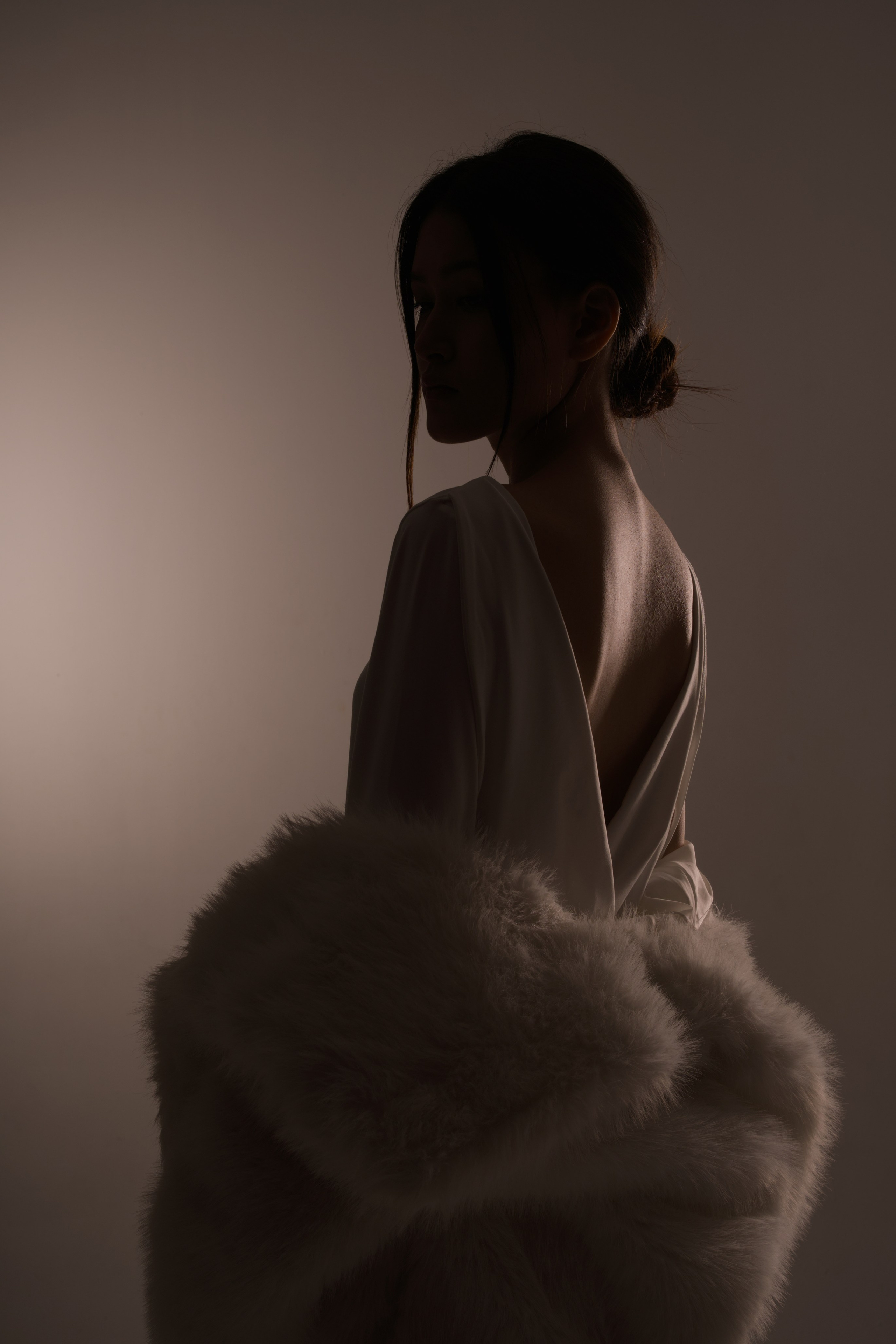 Силуэт цвет с&nbsp;постоянным светом