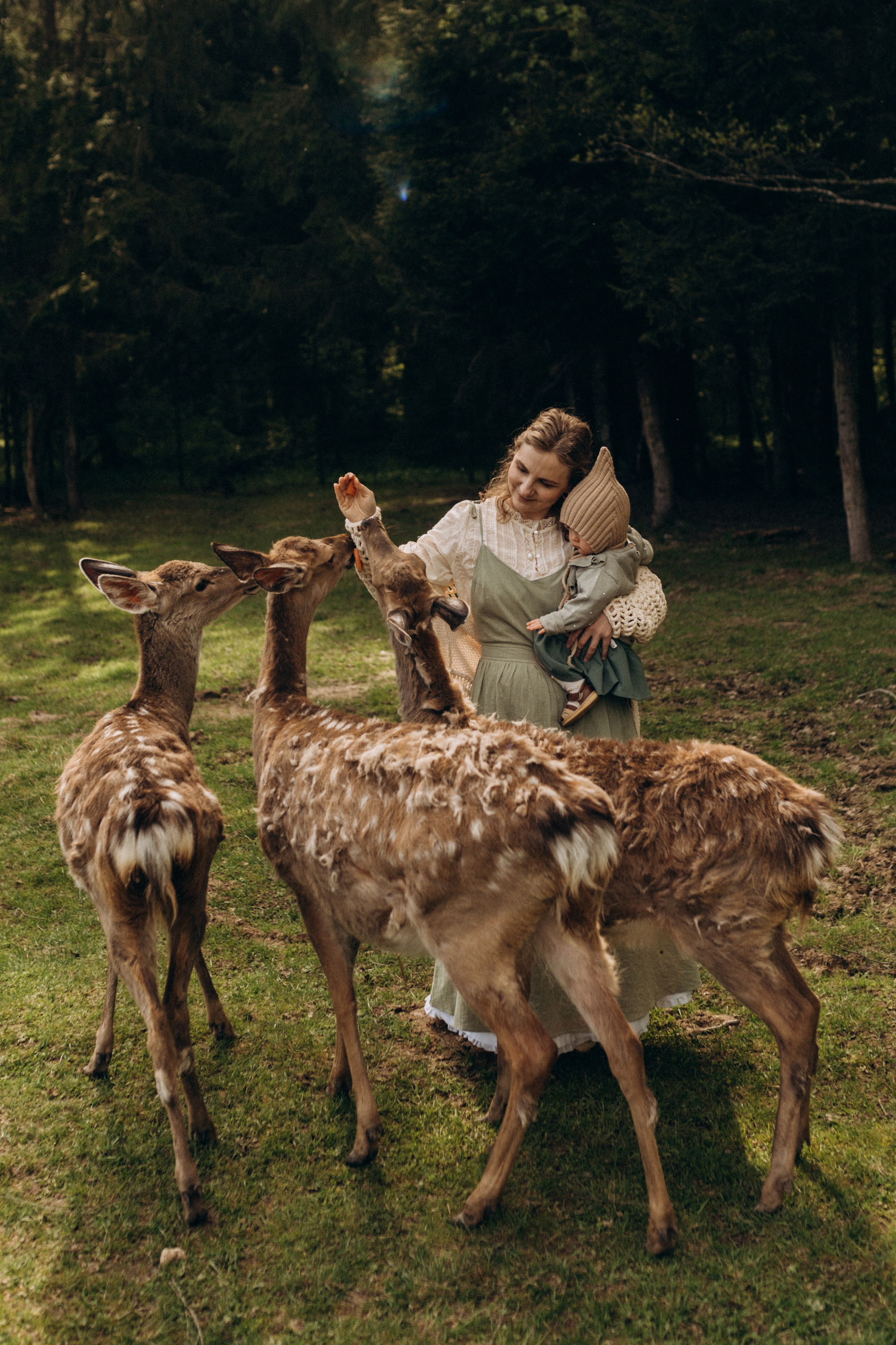 Оленья ферма