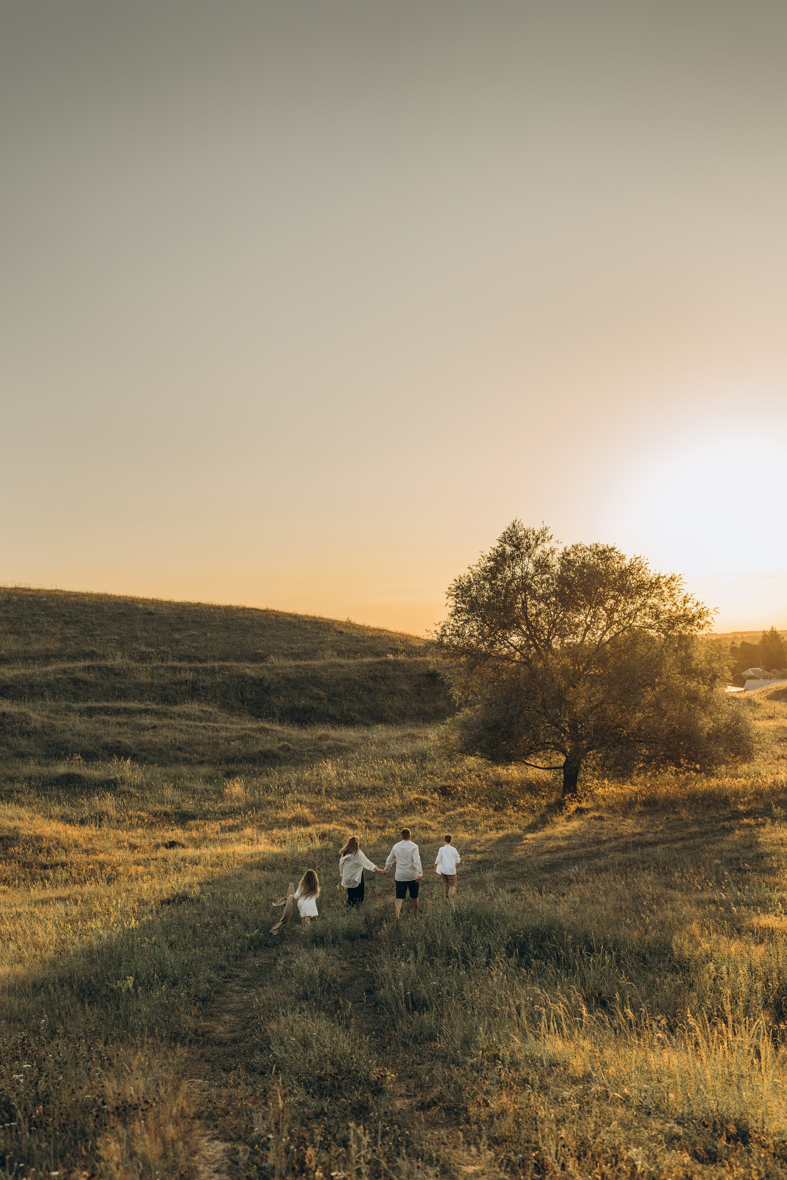 Летний луг, закат