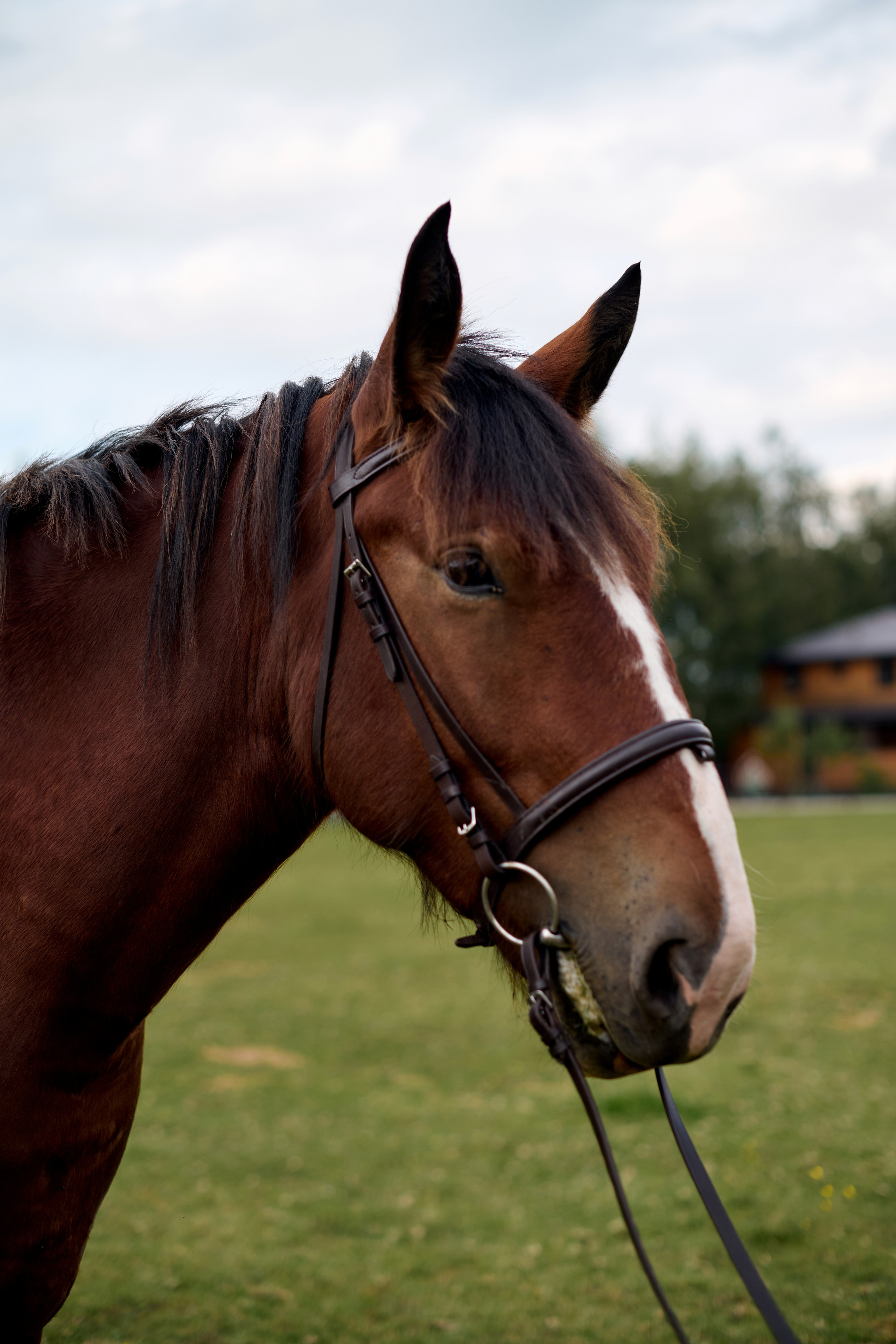 Наша семья. Фотограф Егорьевск Коломна Воскресенск