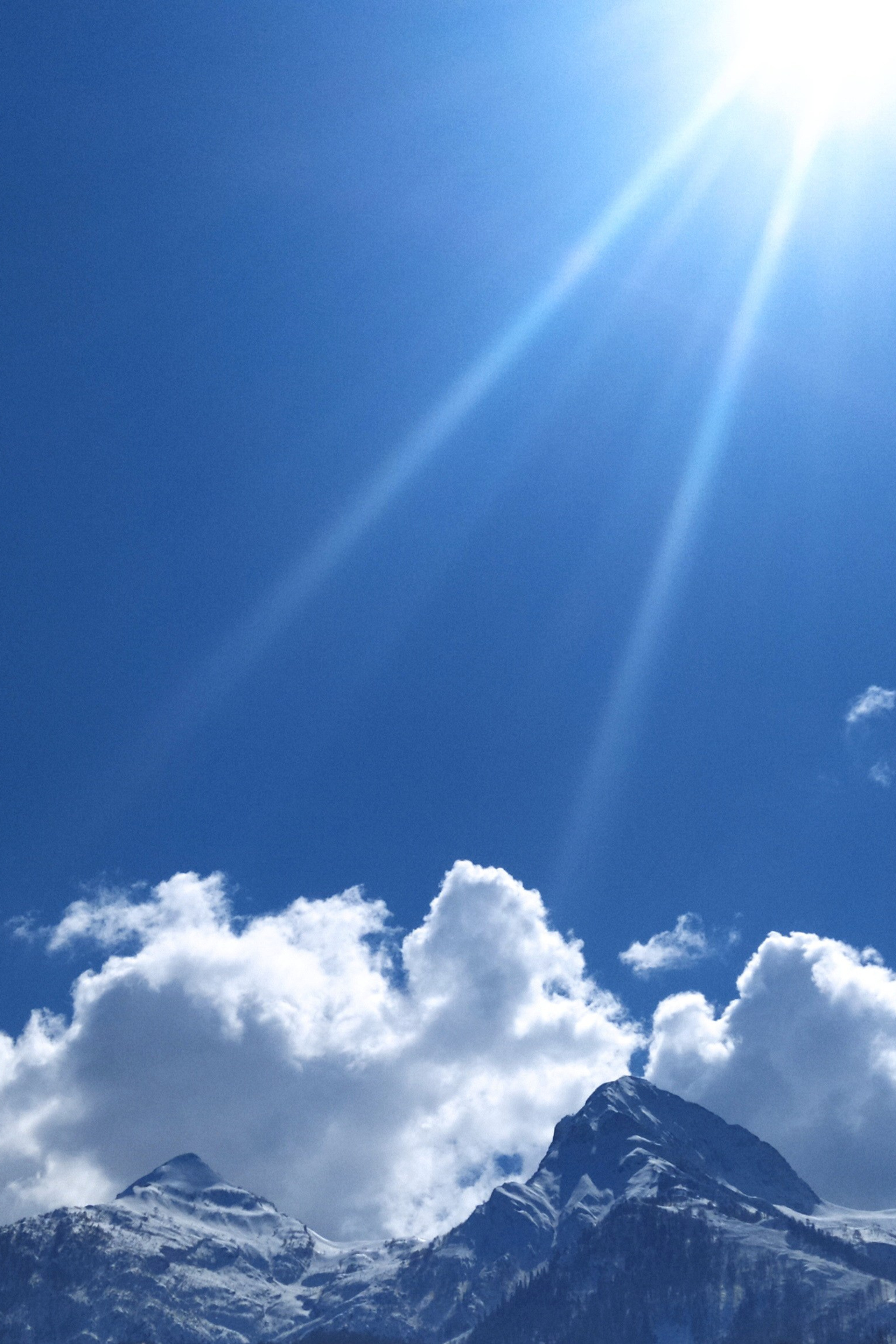 Видео-материалы