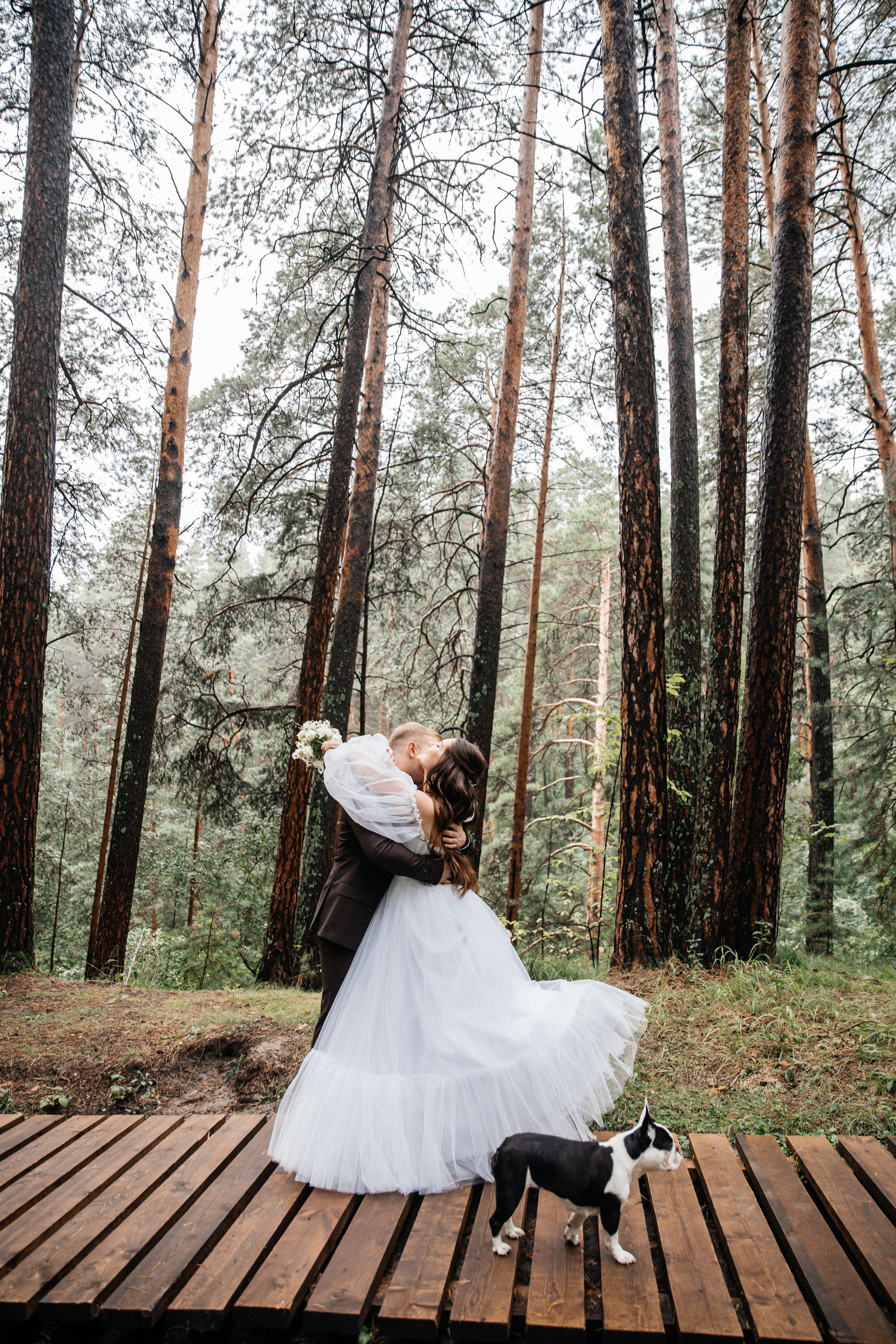 Свадьбы. Фотограф Аля Овчарова