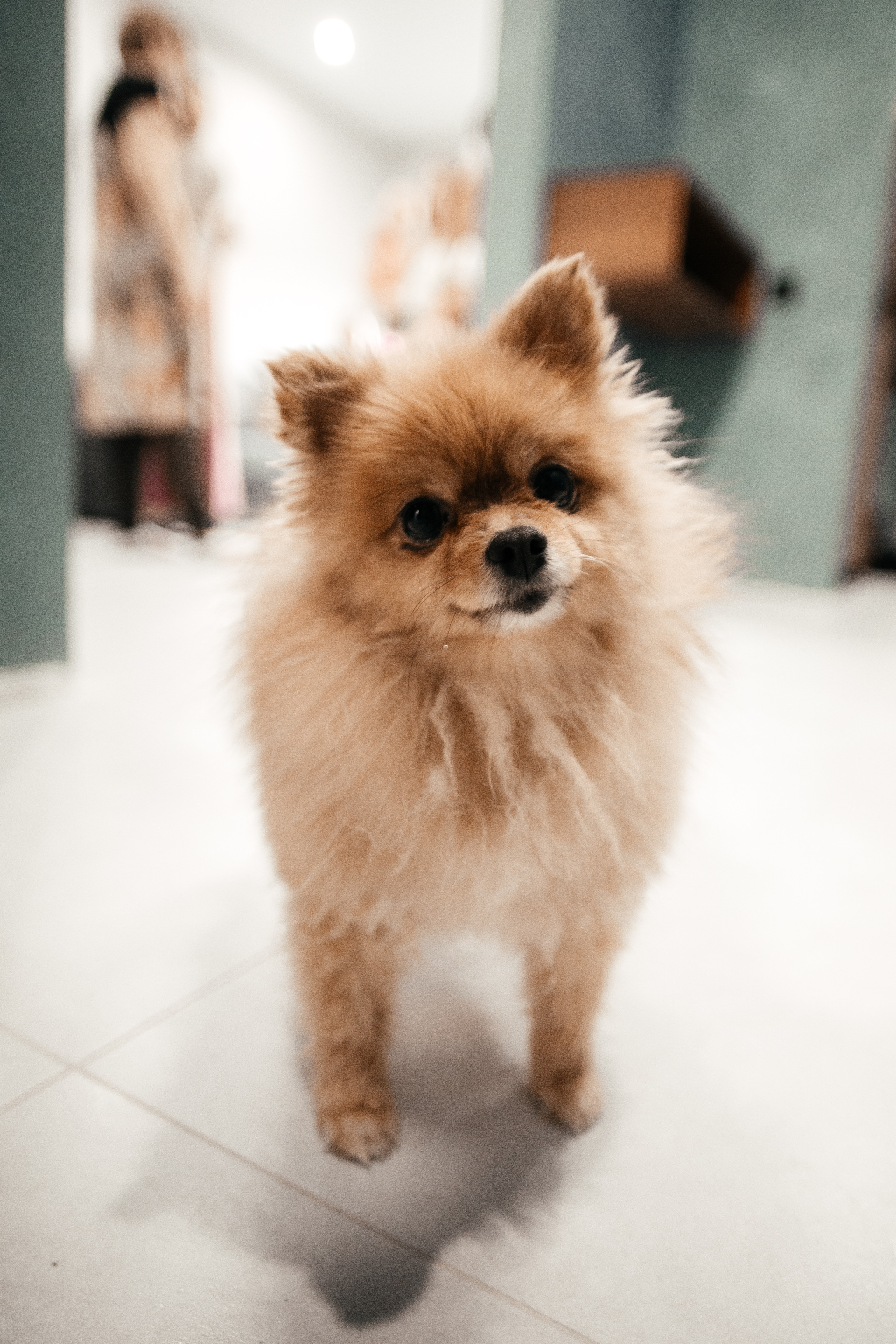 Дарья & Николай