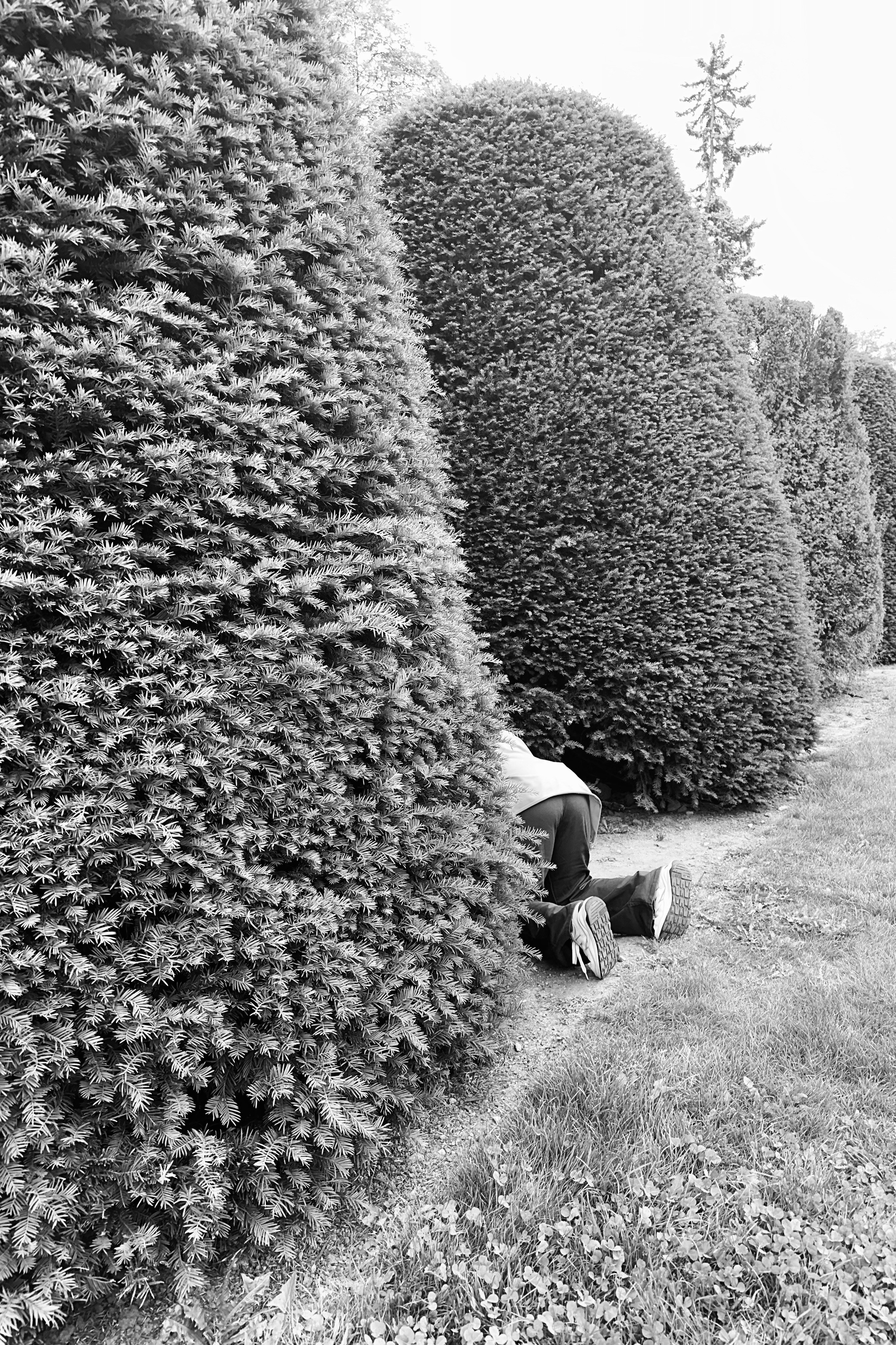 Отзывы. Фотограф, Фотохудожник в Москве Маргарита Дудко