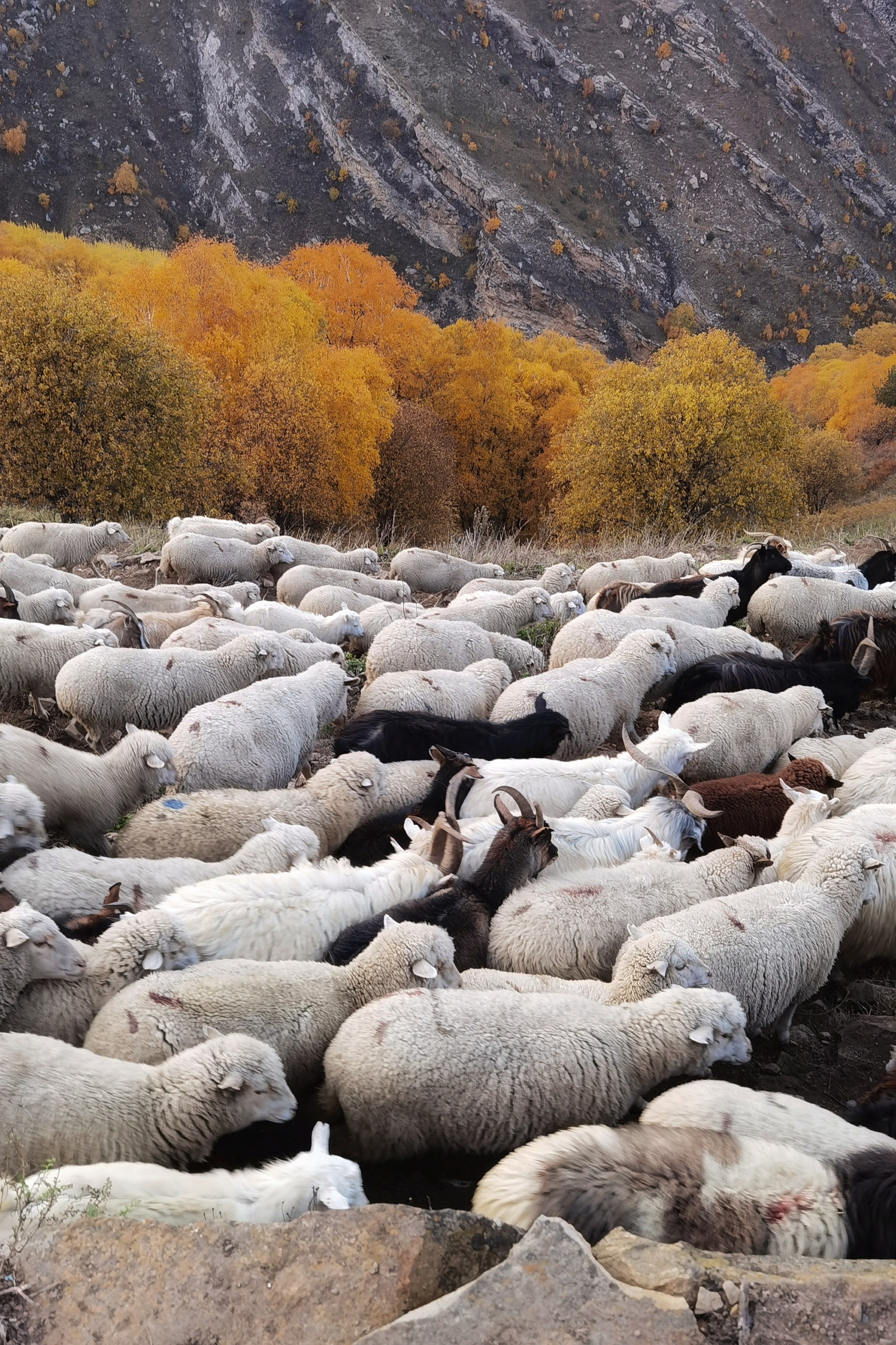 Путешествия